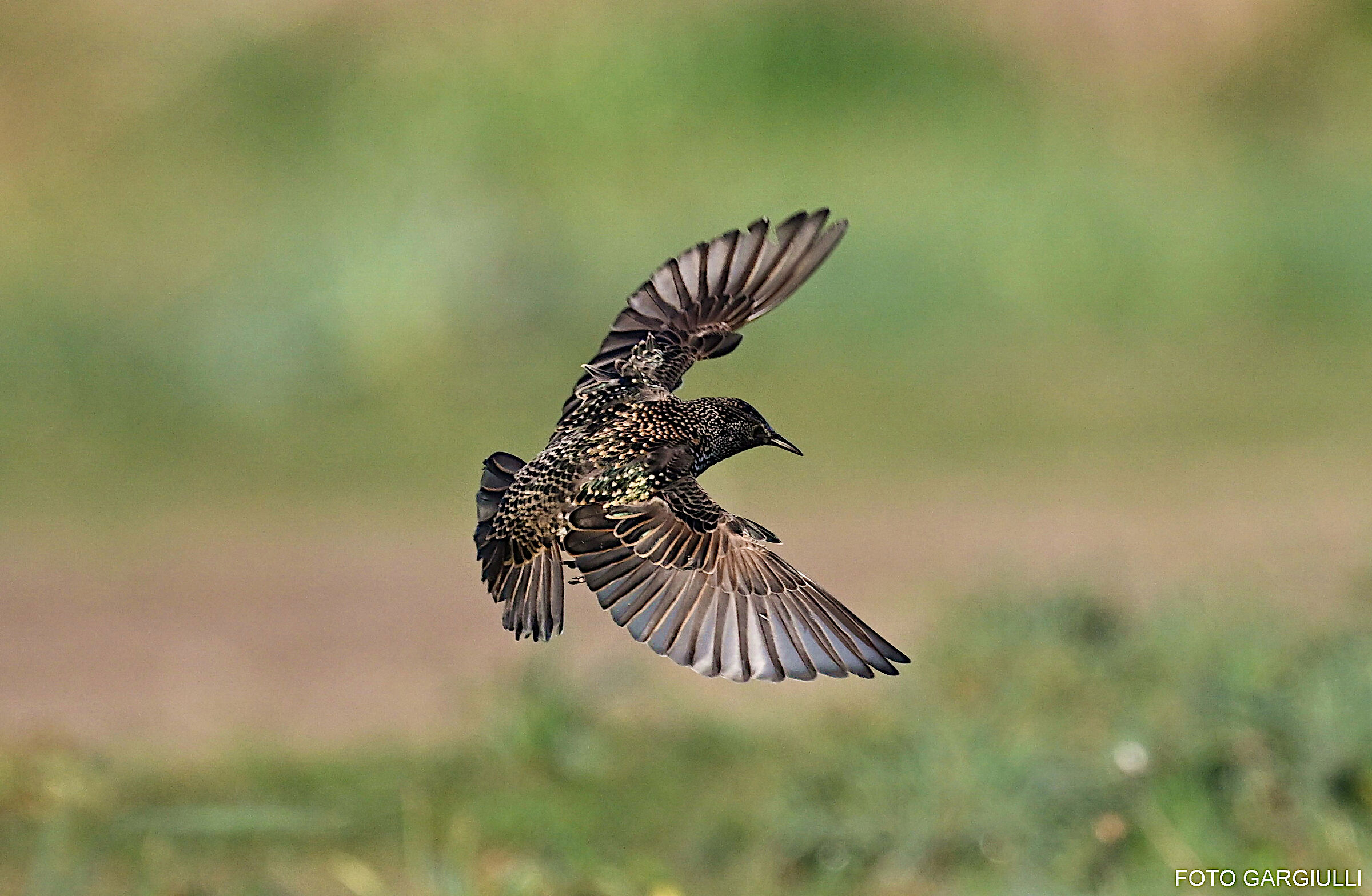 In-flight reversal