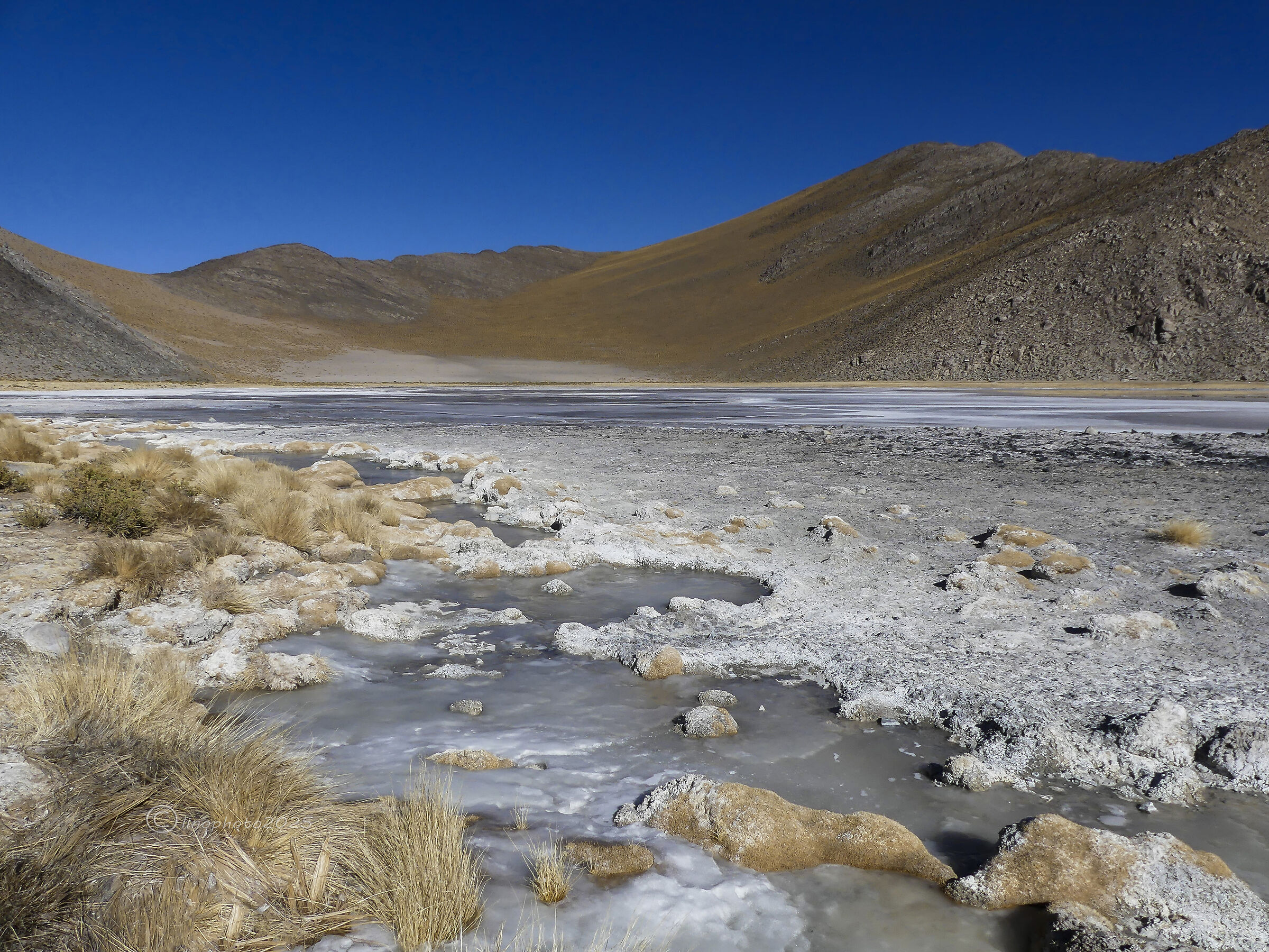 PUNA - Laguna Grande altitude 4150 mt.