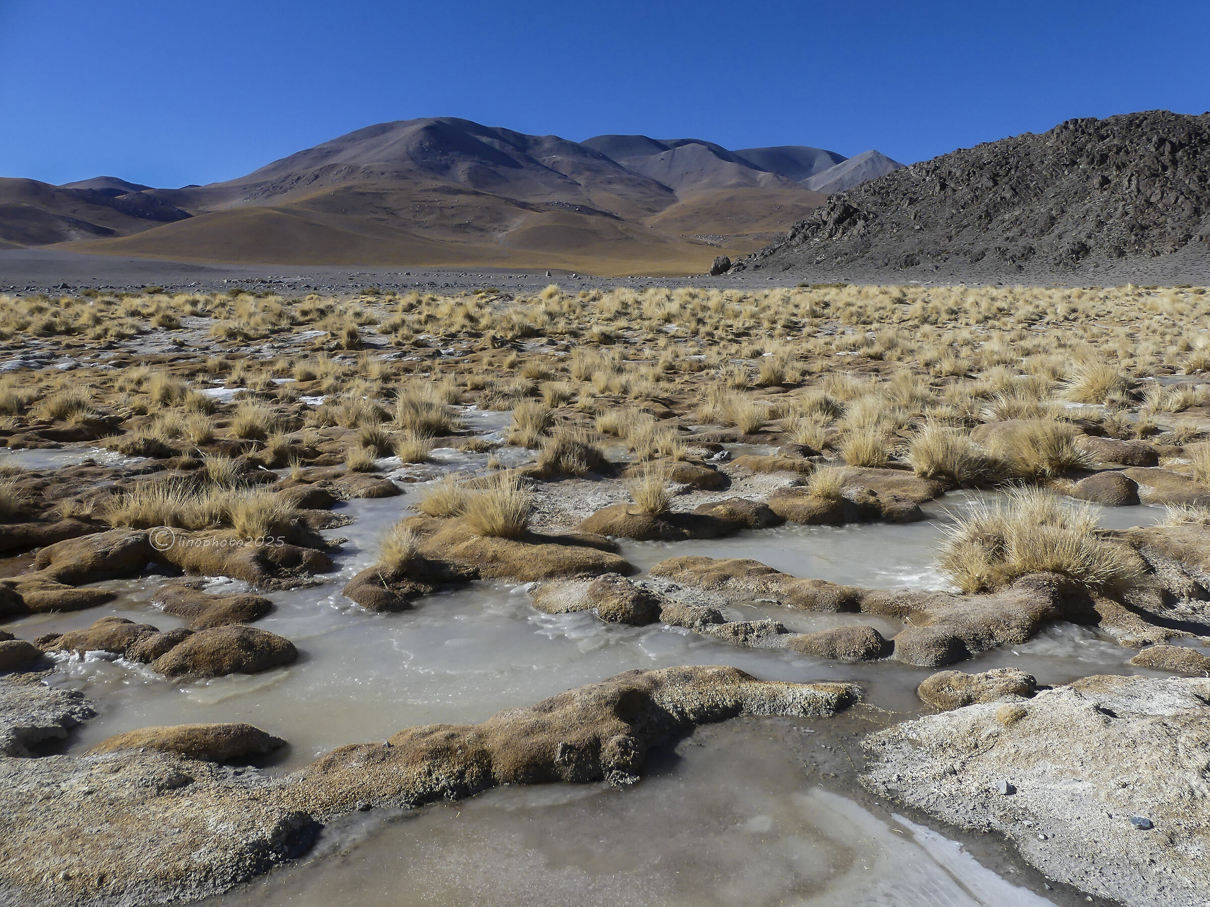 PUNA - Laguna Grande n. 2 altitude 4150 mt.