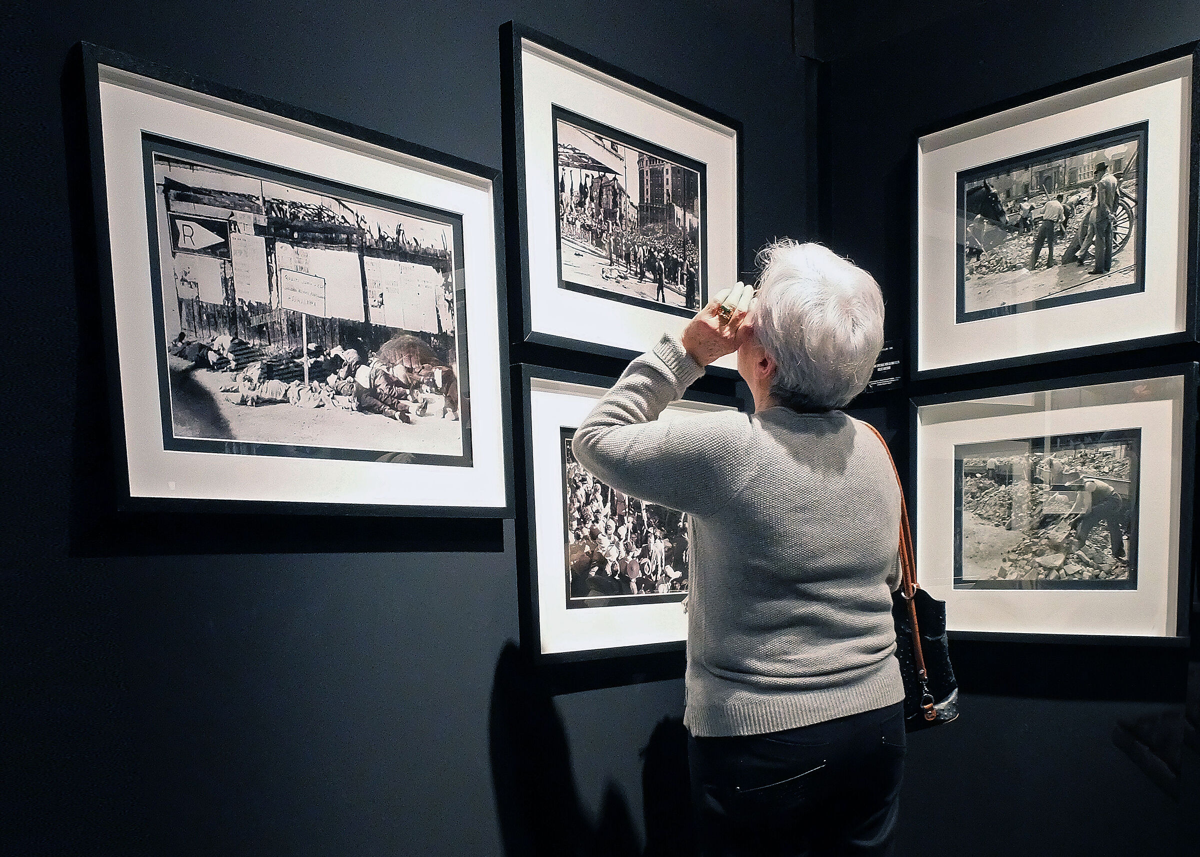 dentro alla mostra