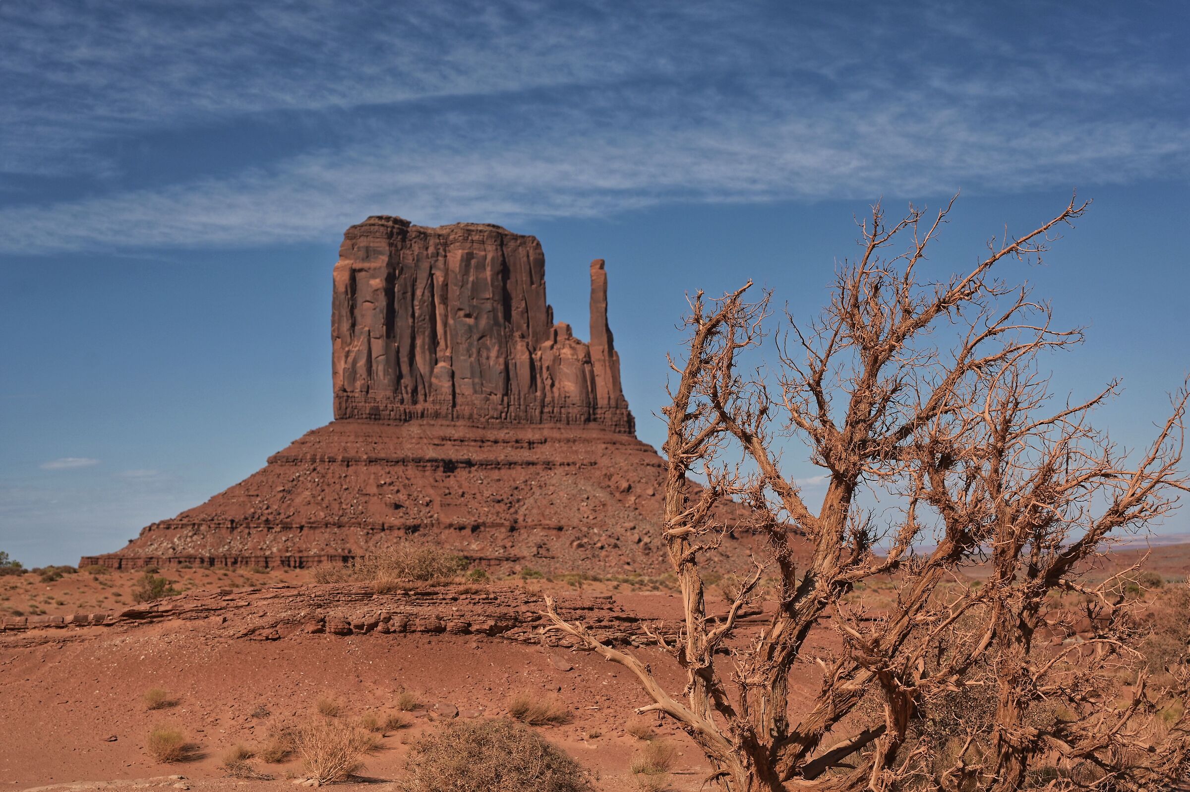 Arizona