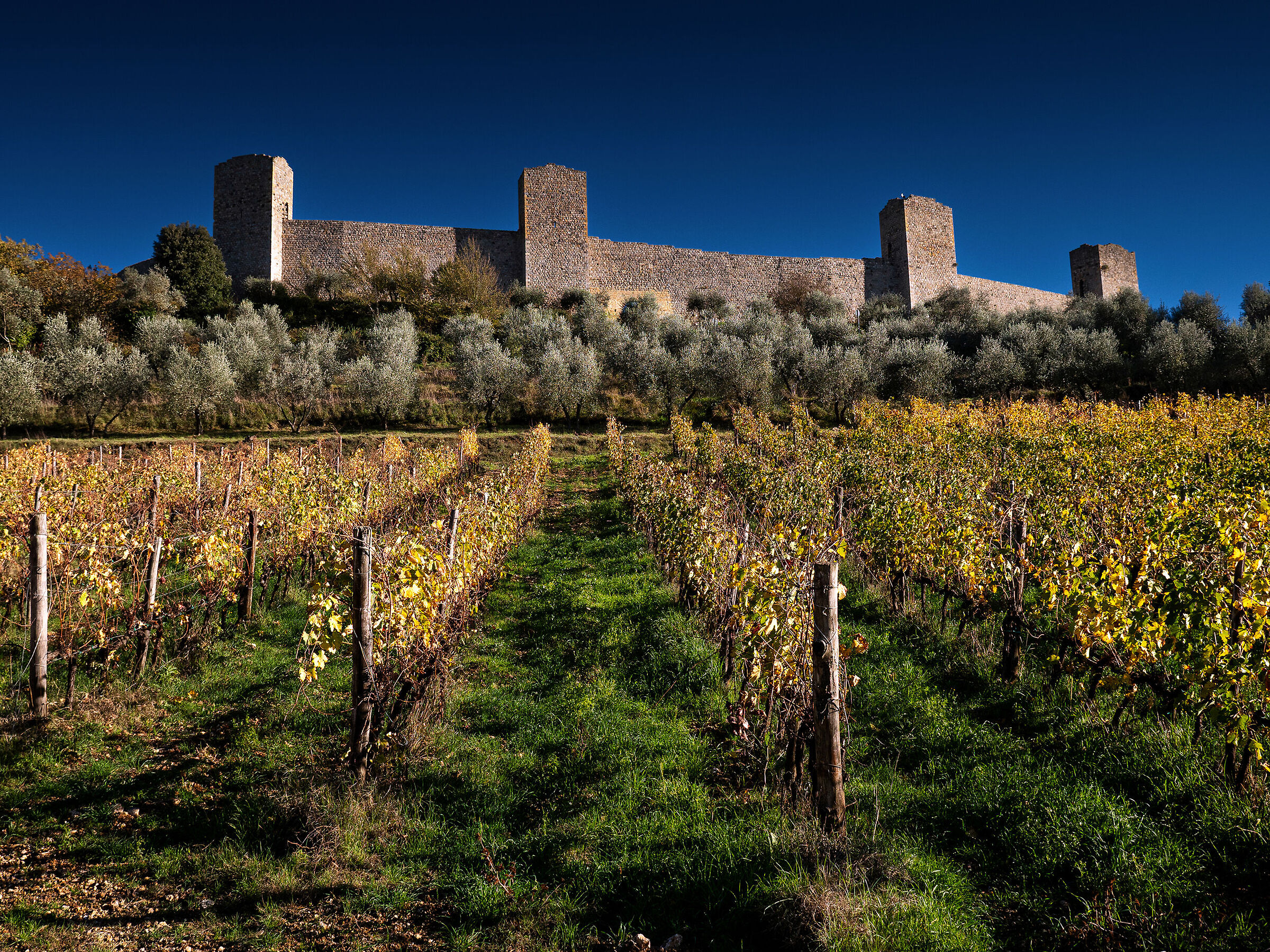 Monteriggioni - la porta del medioevo - Siena#2