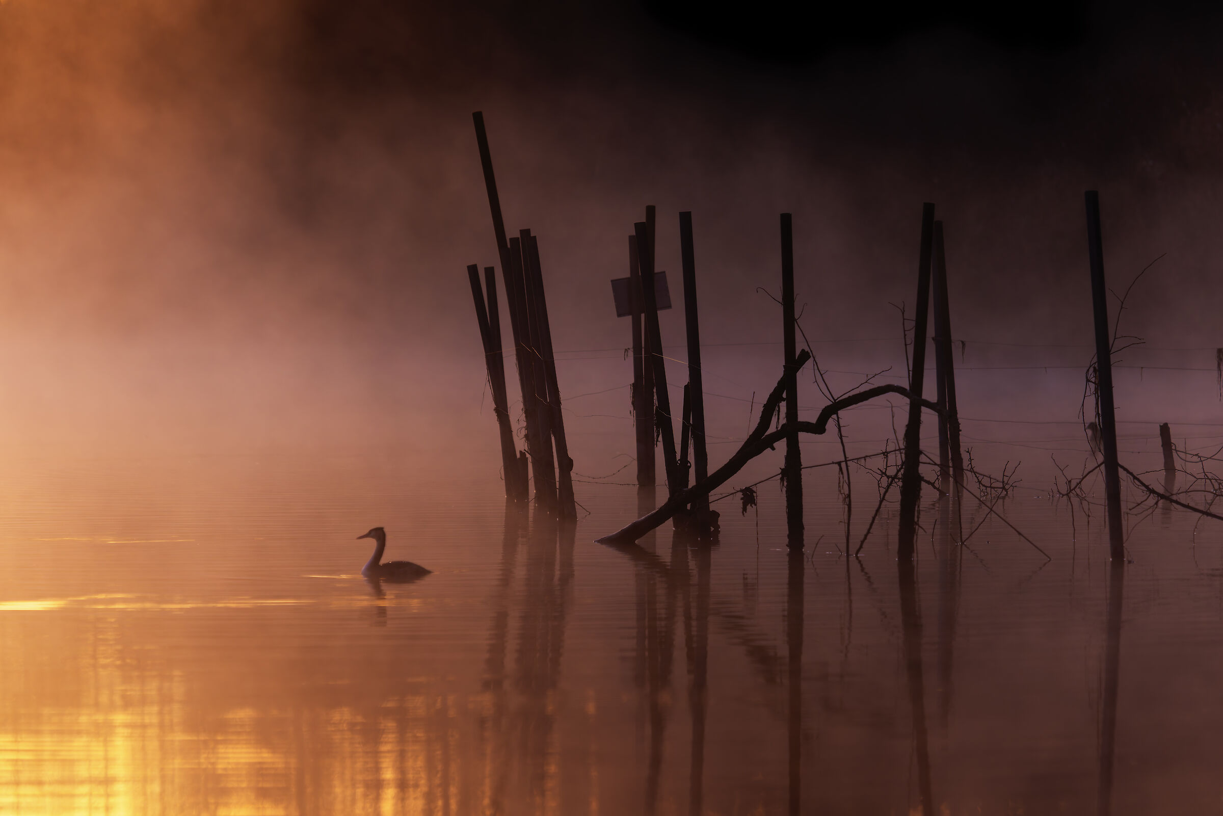 In the mists of dawn
