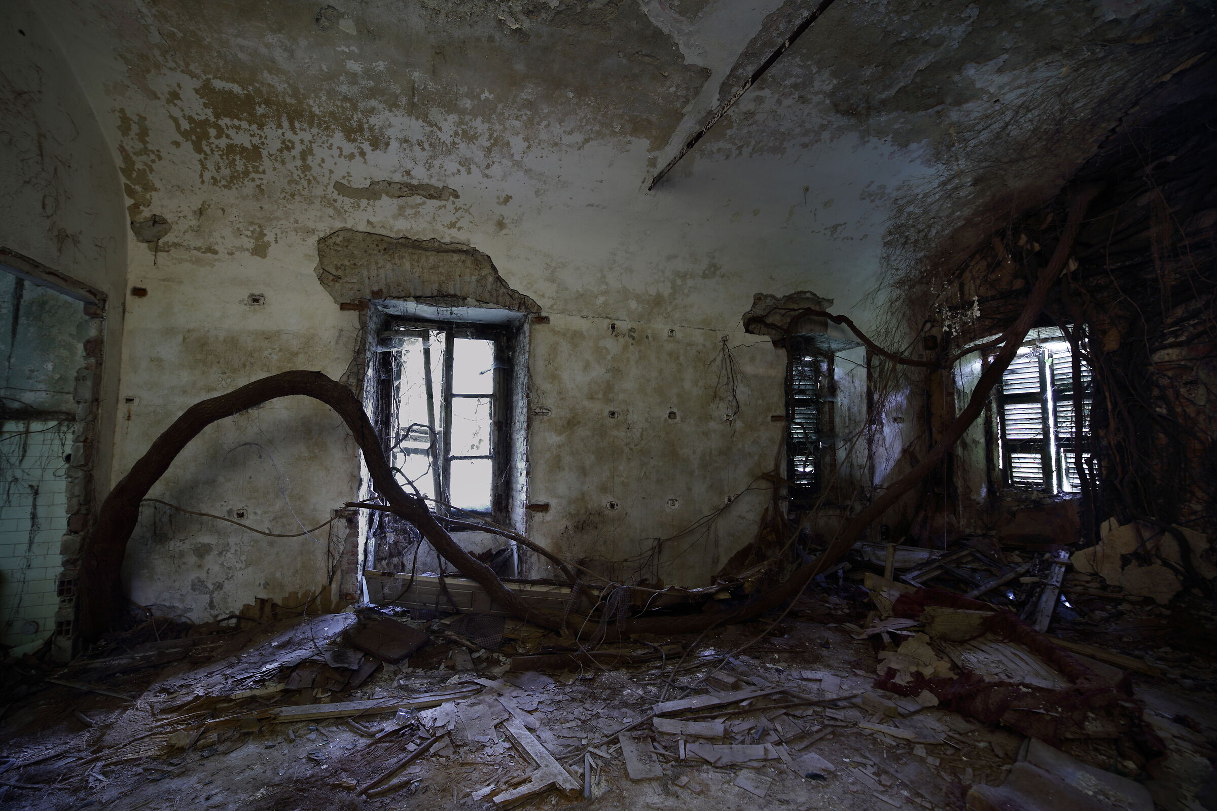 La natura trova sempre la strada