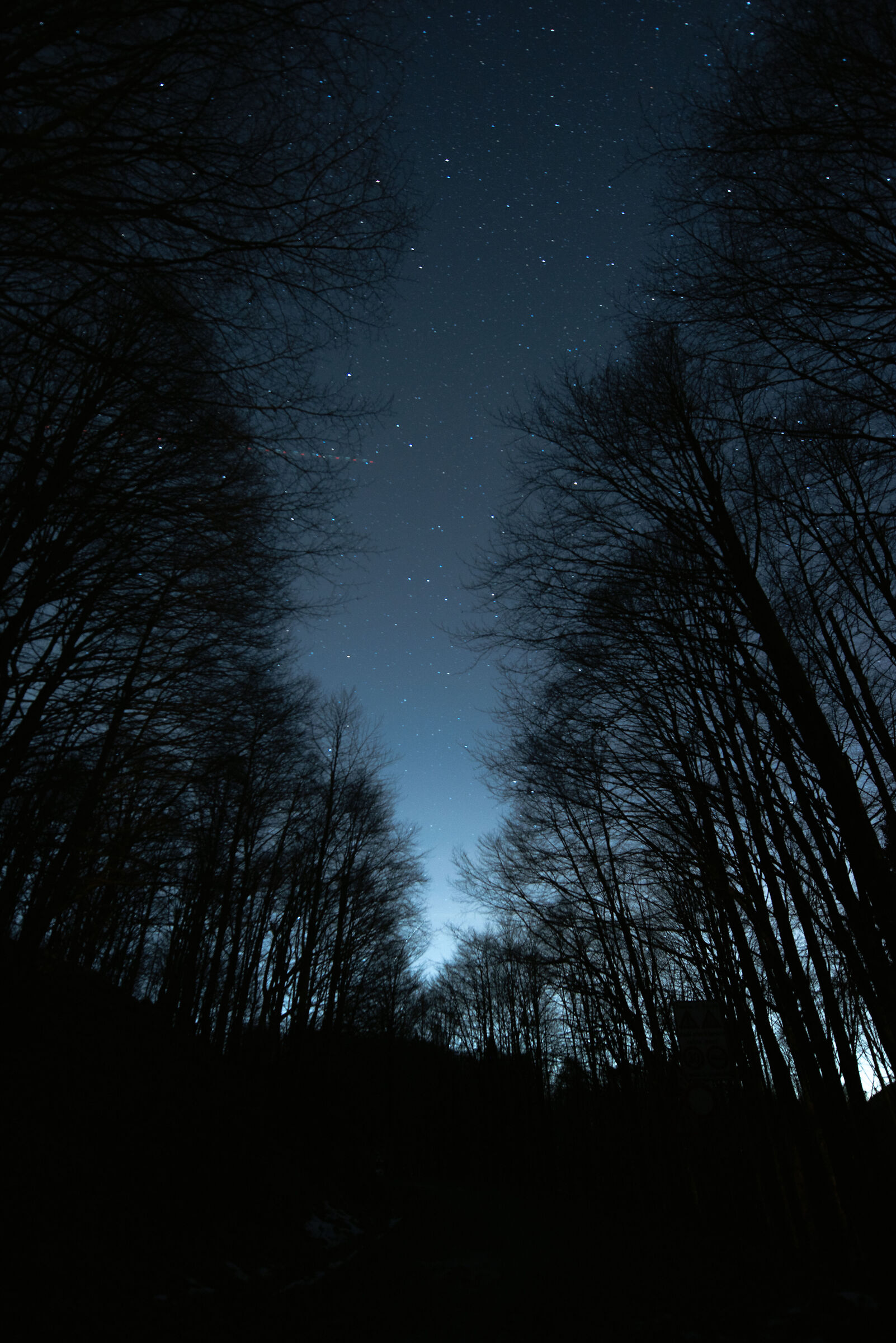 Paesaggio stellato Collalto