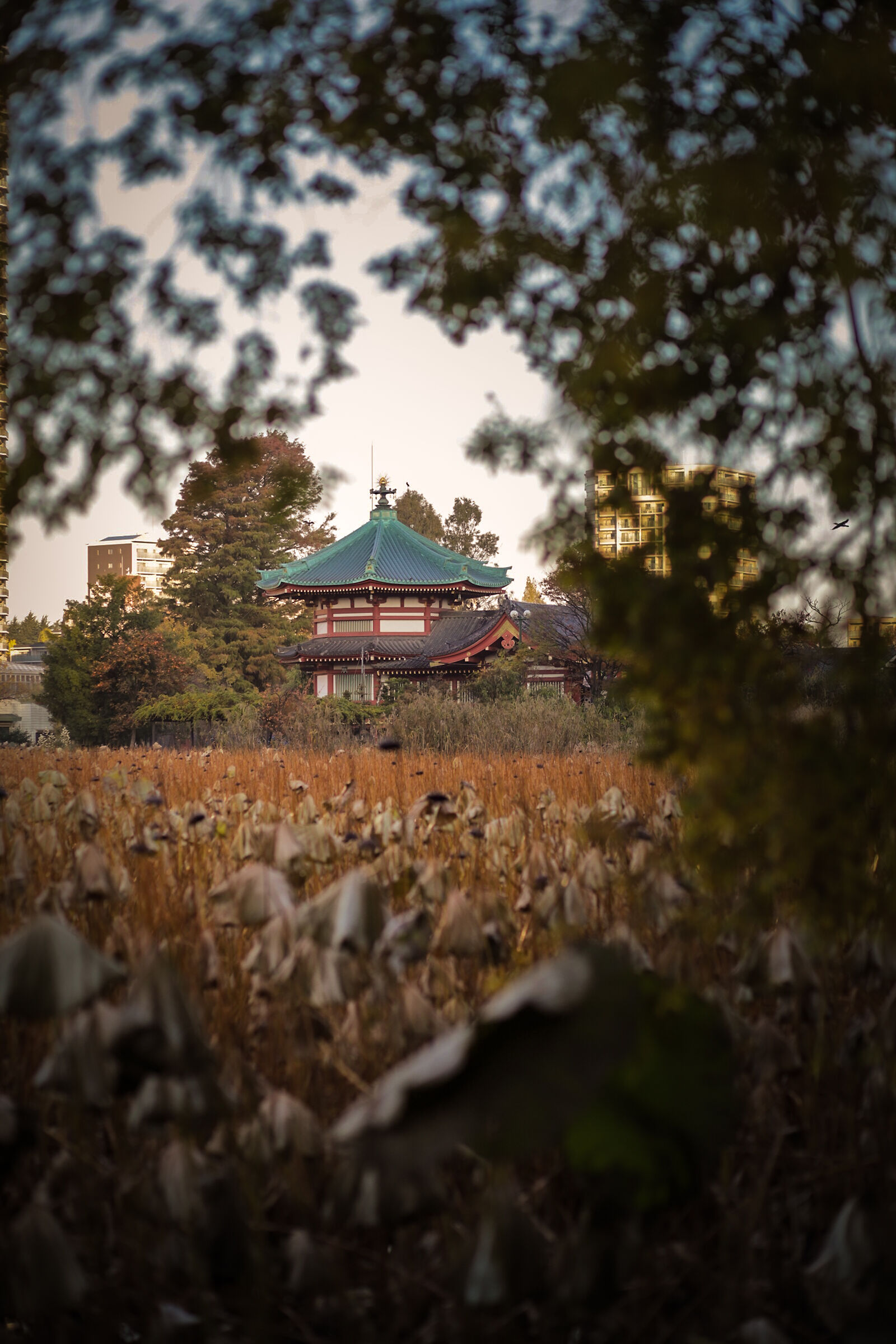 Tokyo nascosta