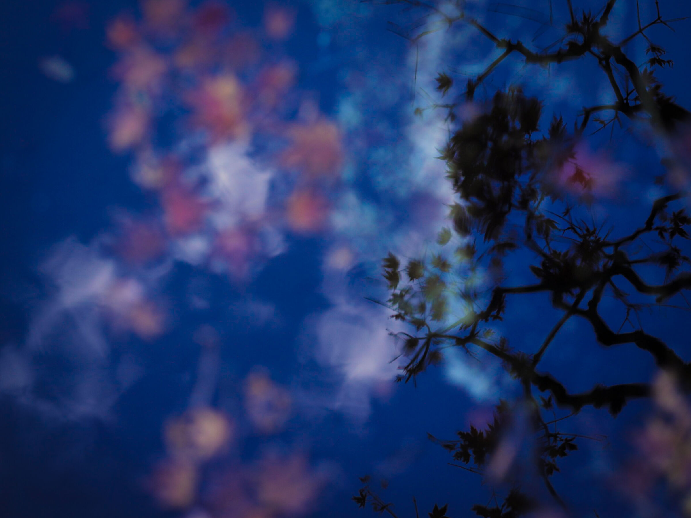 Giappone riflesso