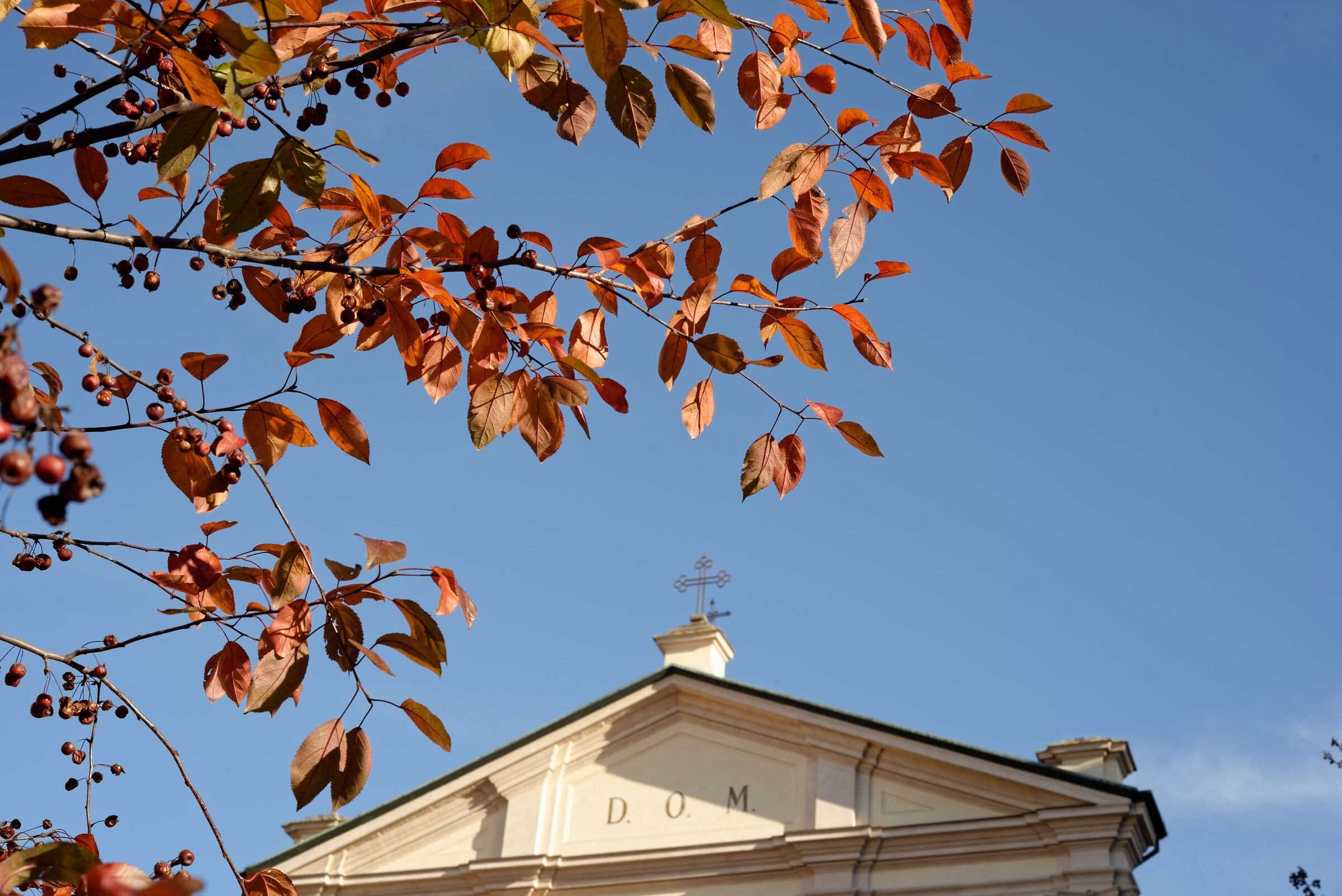 Santa Francesca Romana, Milan, 2025