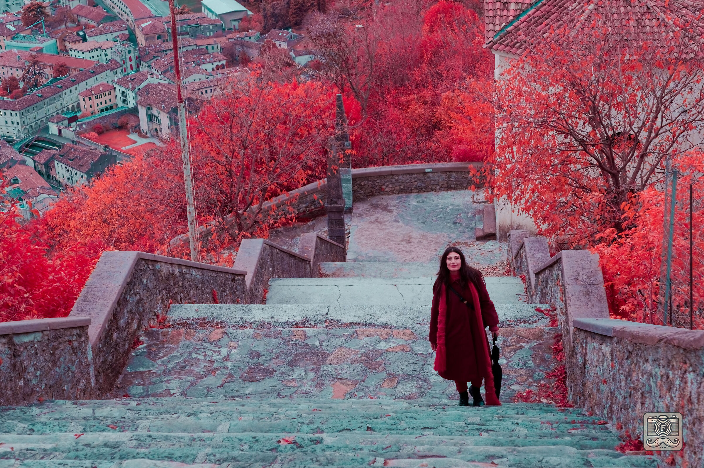 Walks in the Aerochrome