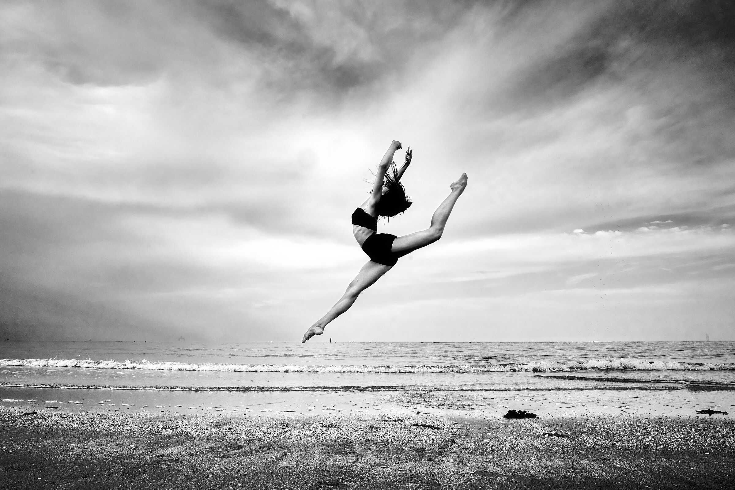 Fly