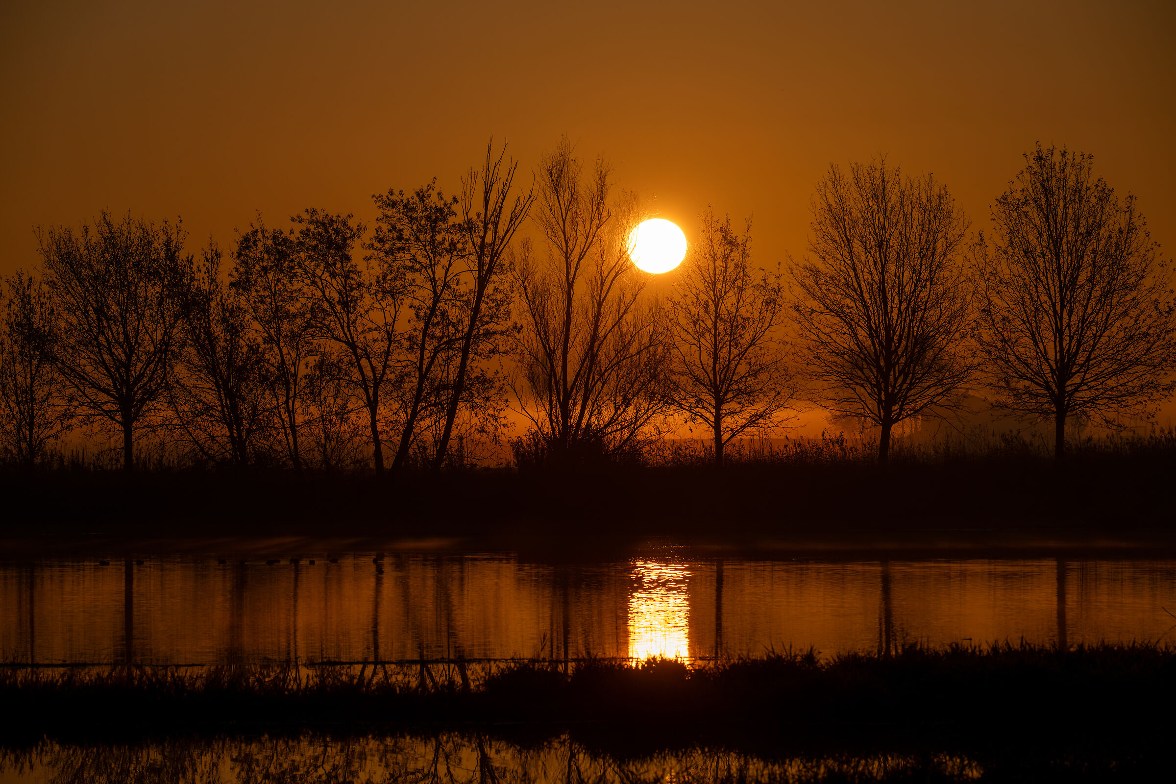 Dawn