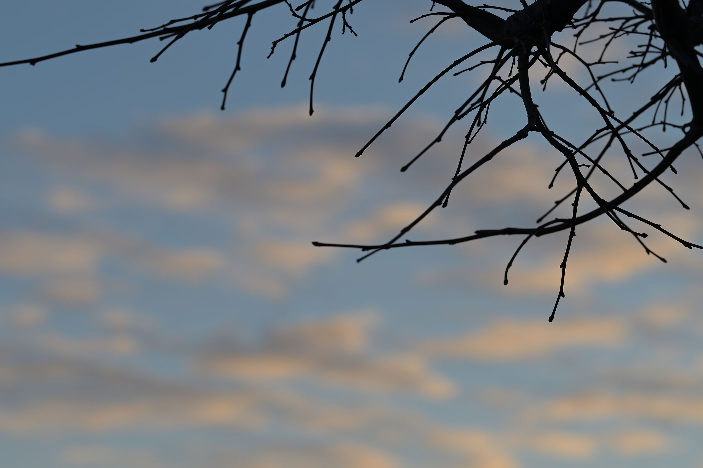 clouds