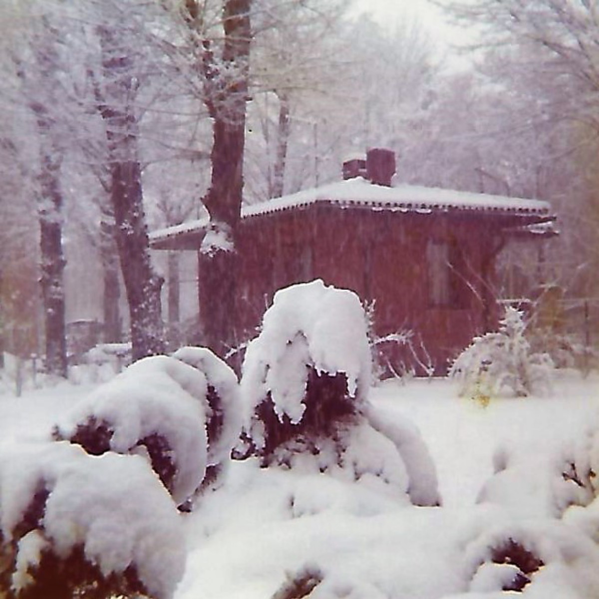 Nevicate di una volta