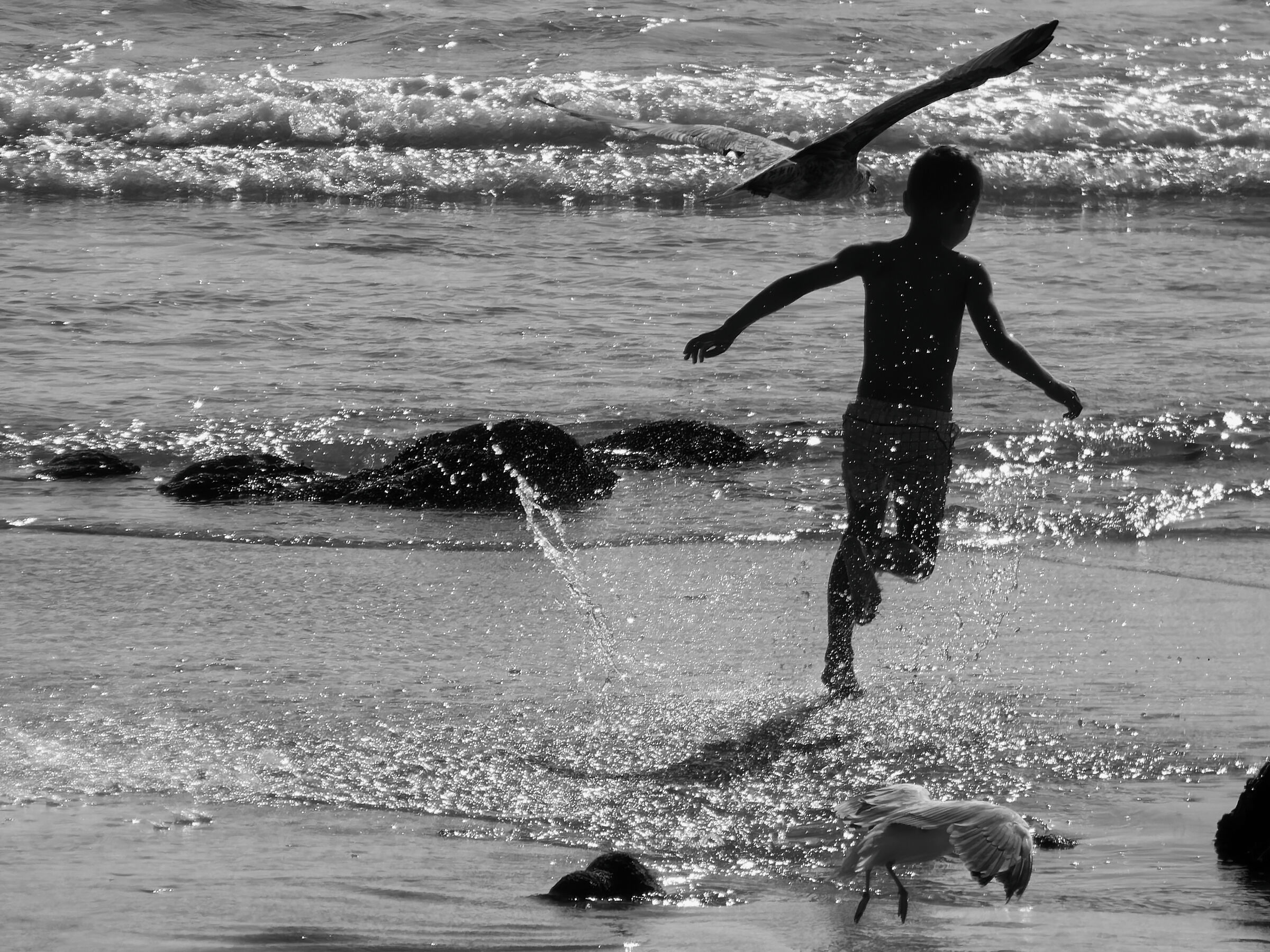 porto_2019 (_1020697-1)