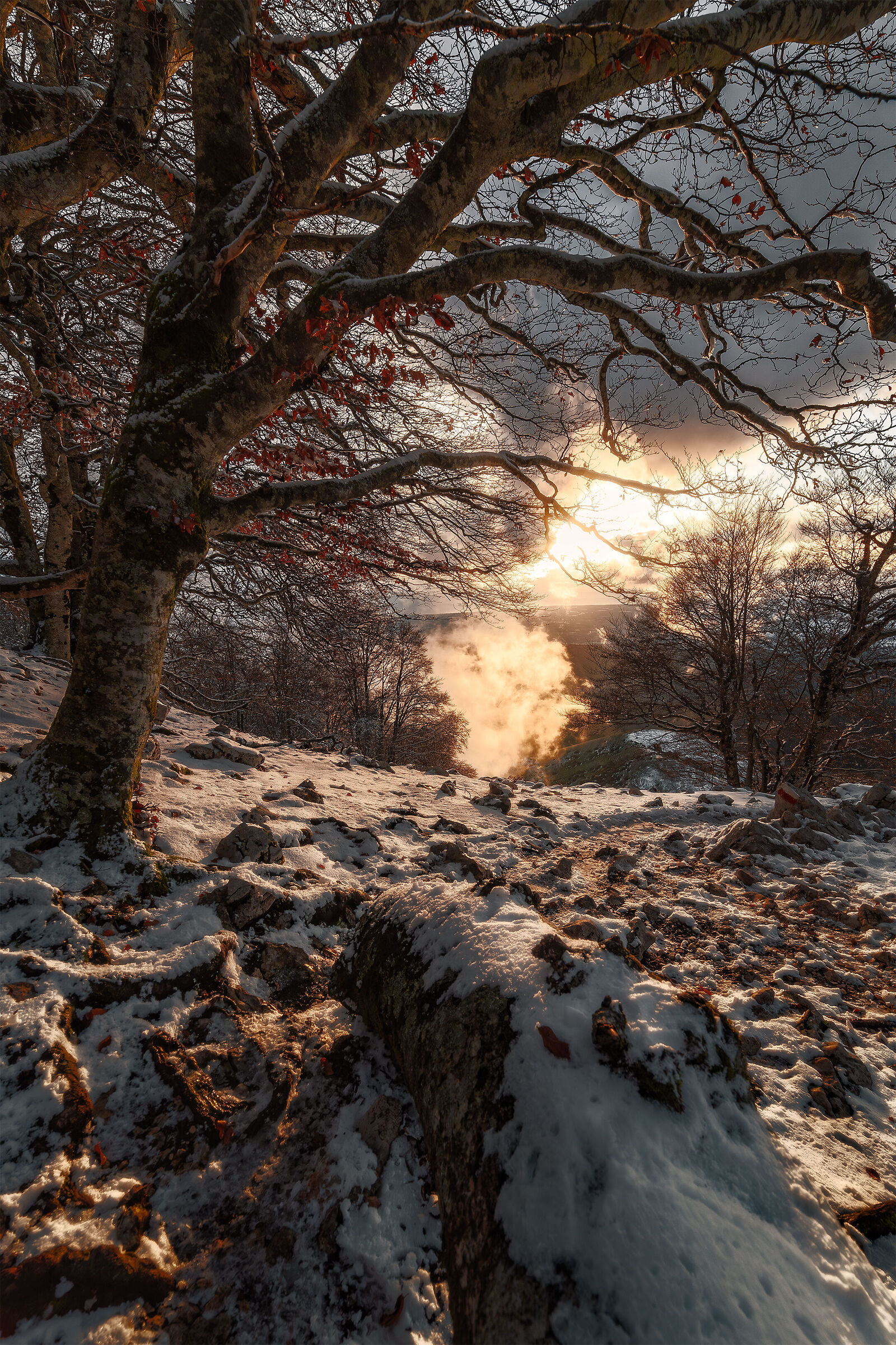 First snow on the Semprevisa
