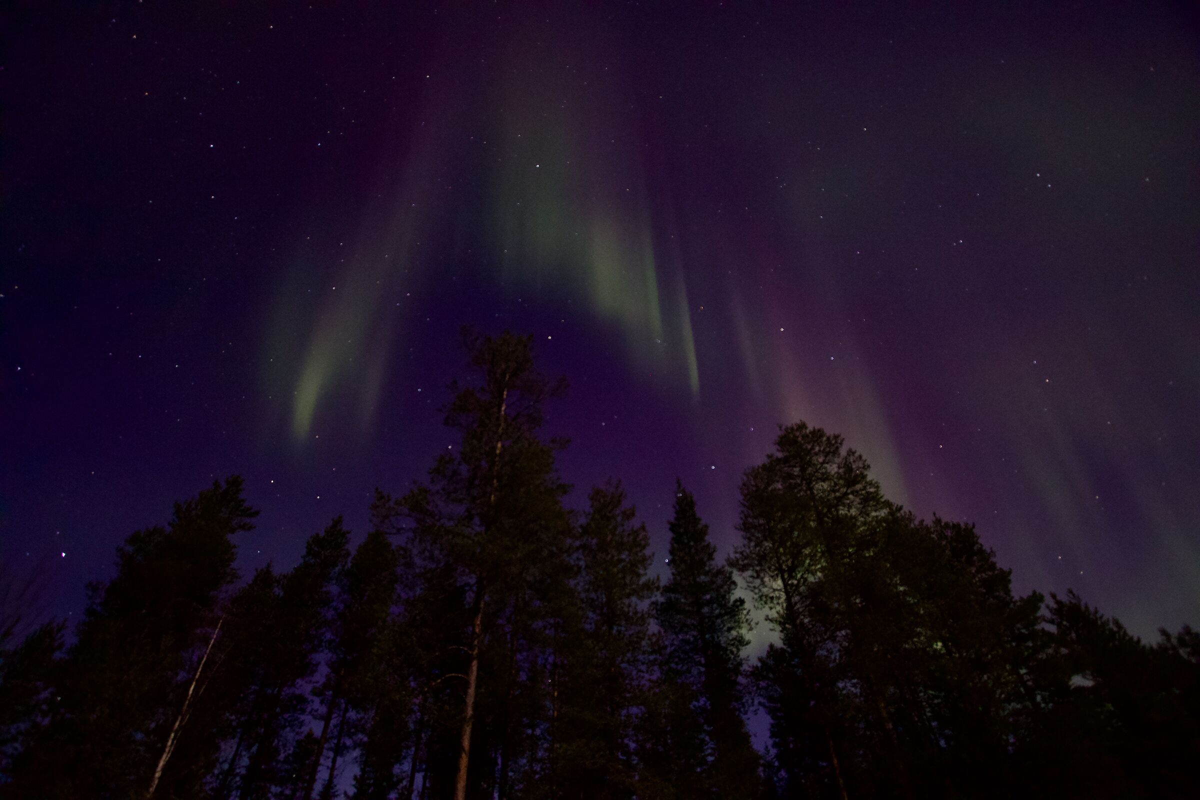 Aurora Boreale a Rovaniemi