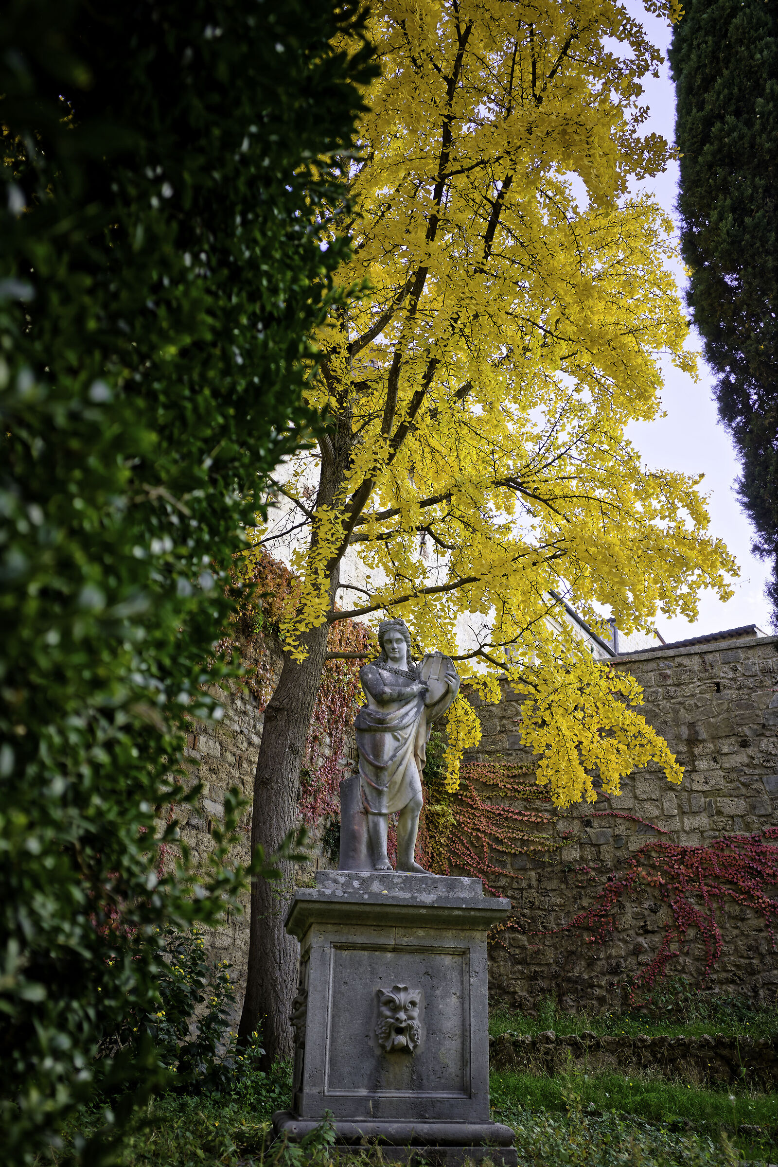 Urban Foliage a.k.a. Another Postcard