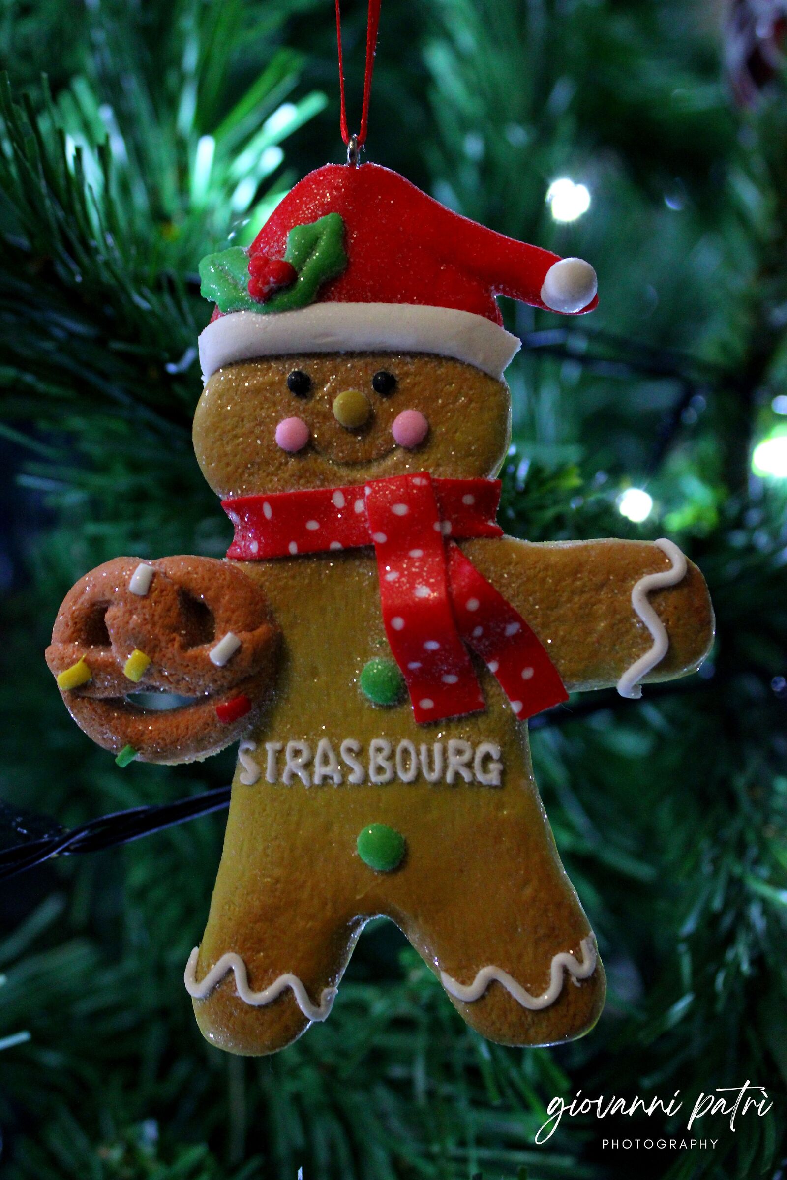 Strasbourg Gingerbread