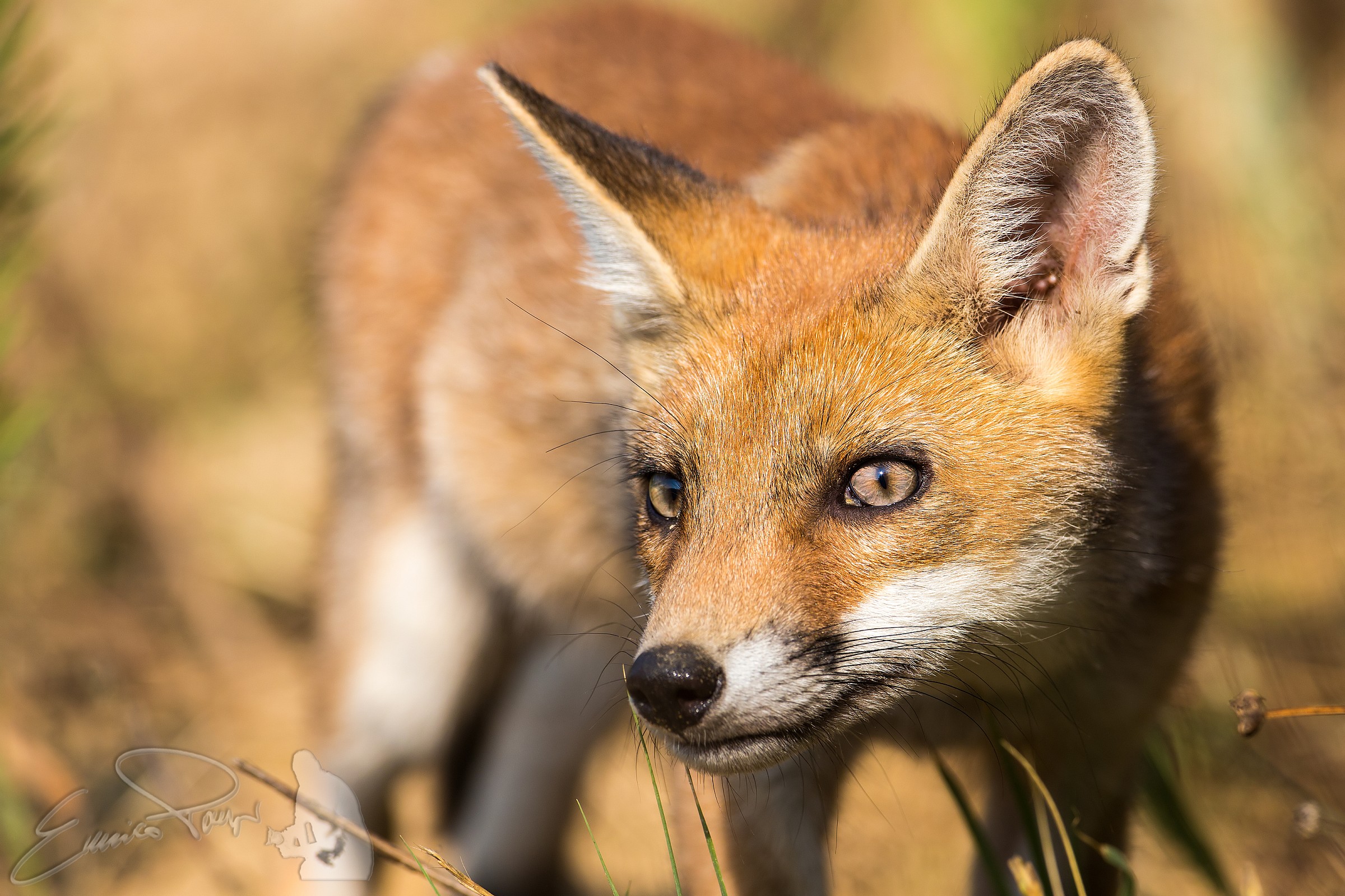 an unexpected meeting