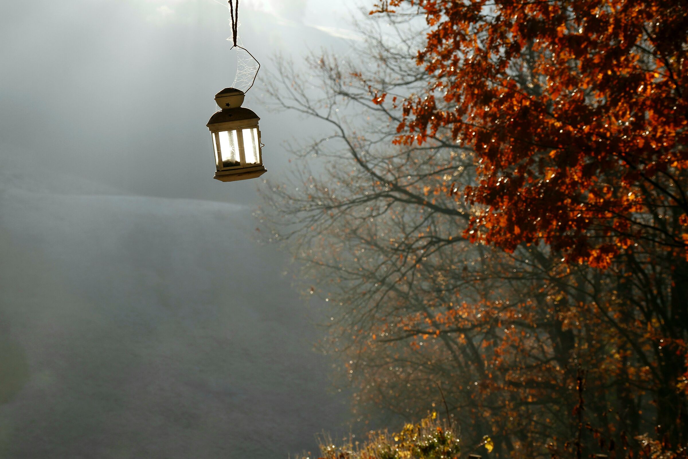 Sun lamp