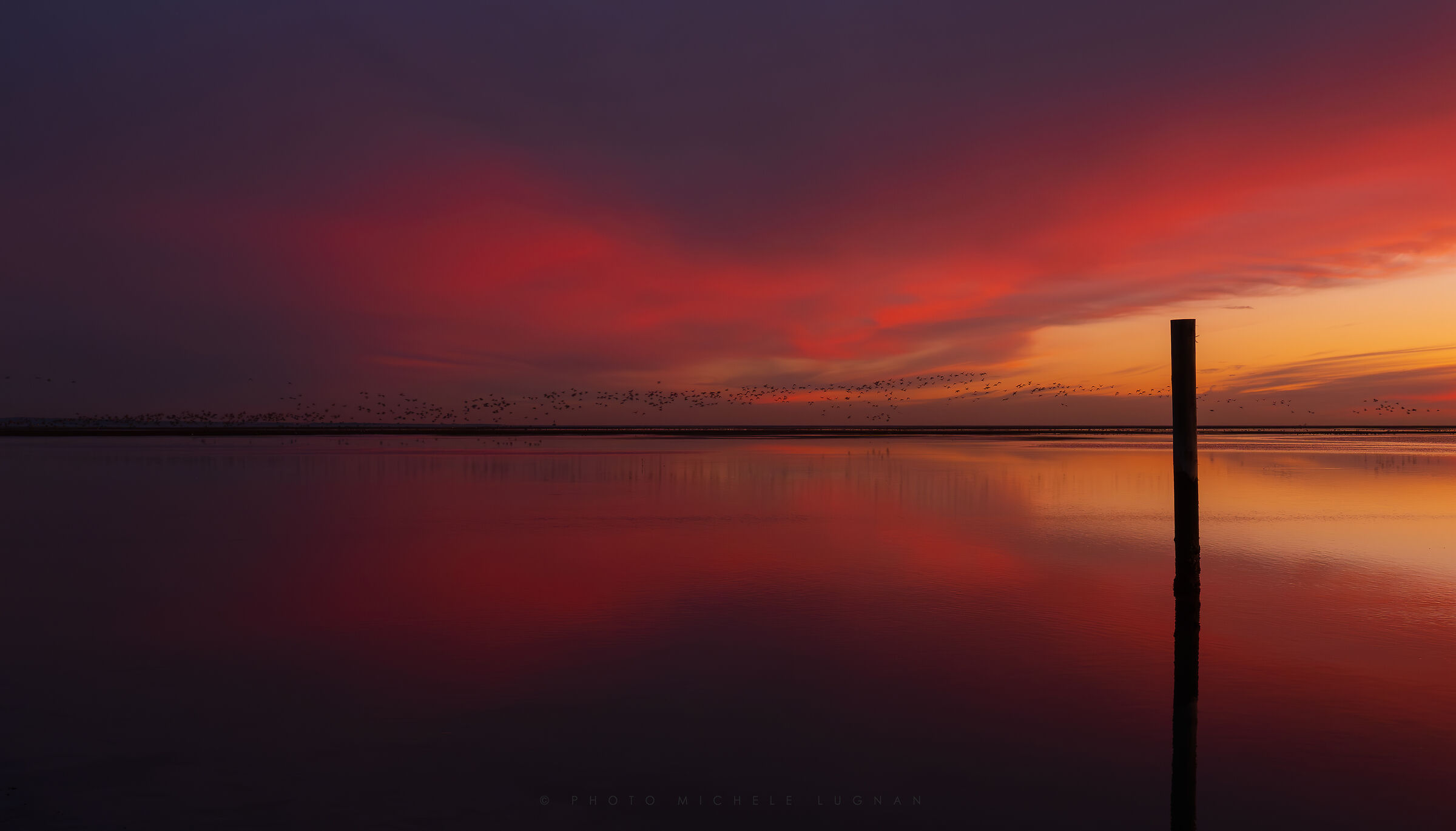 Flight at dusk