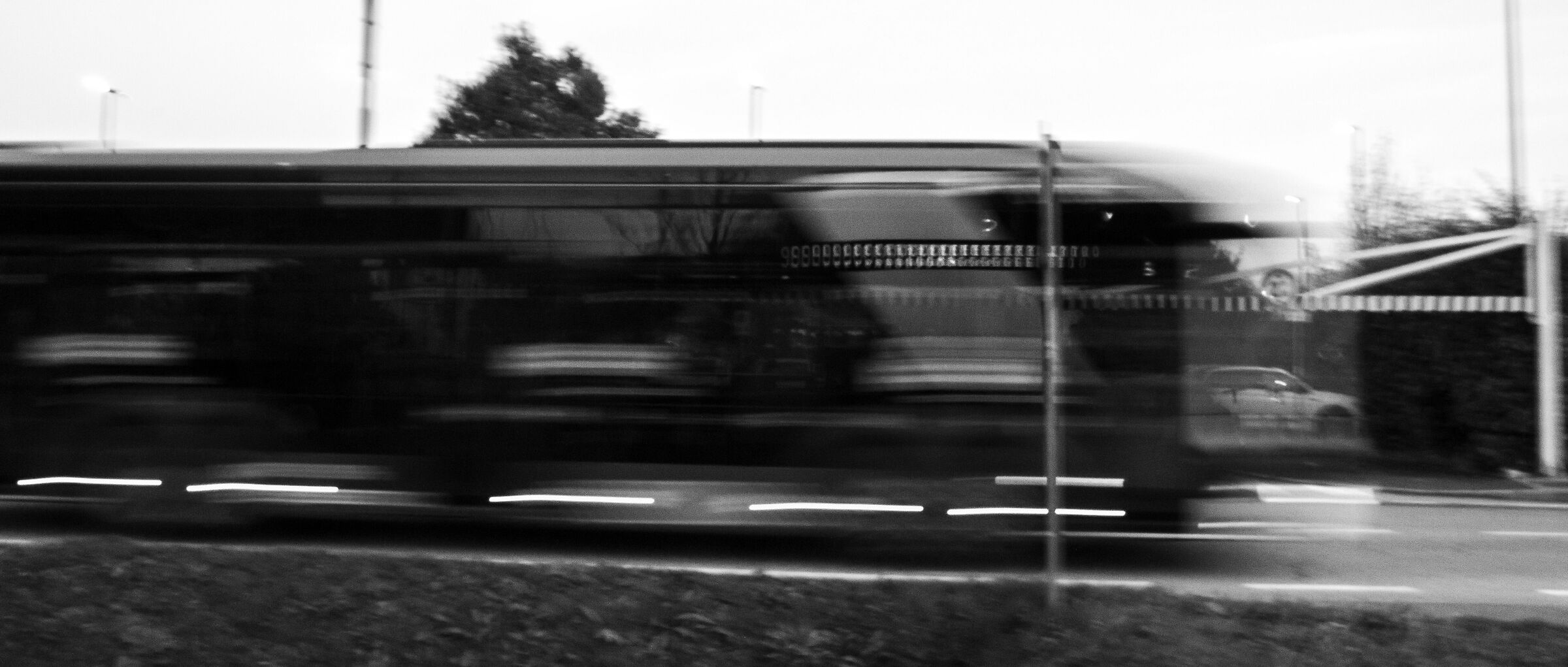 dinamismo di un autobus non al guinzaglio