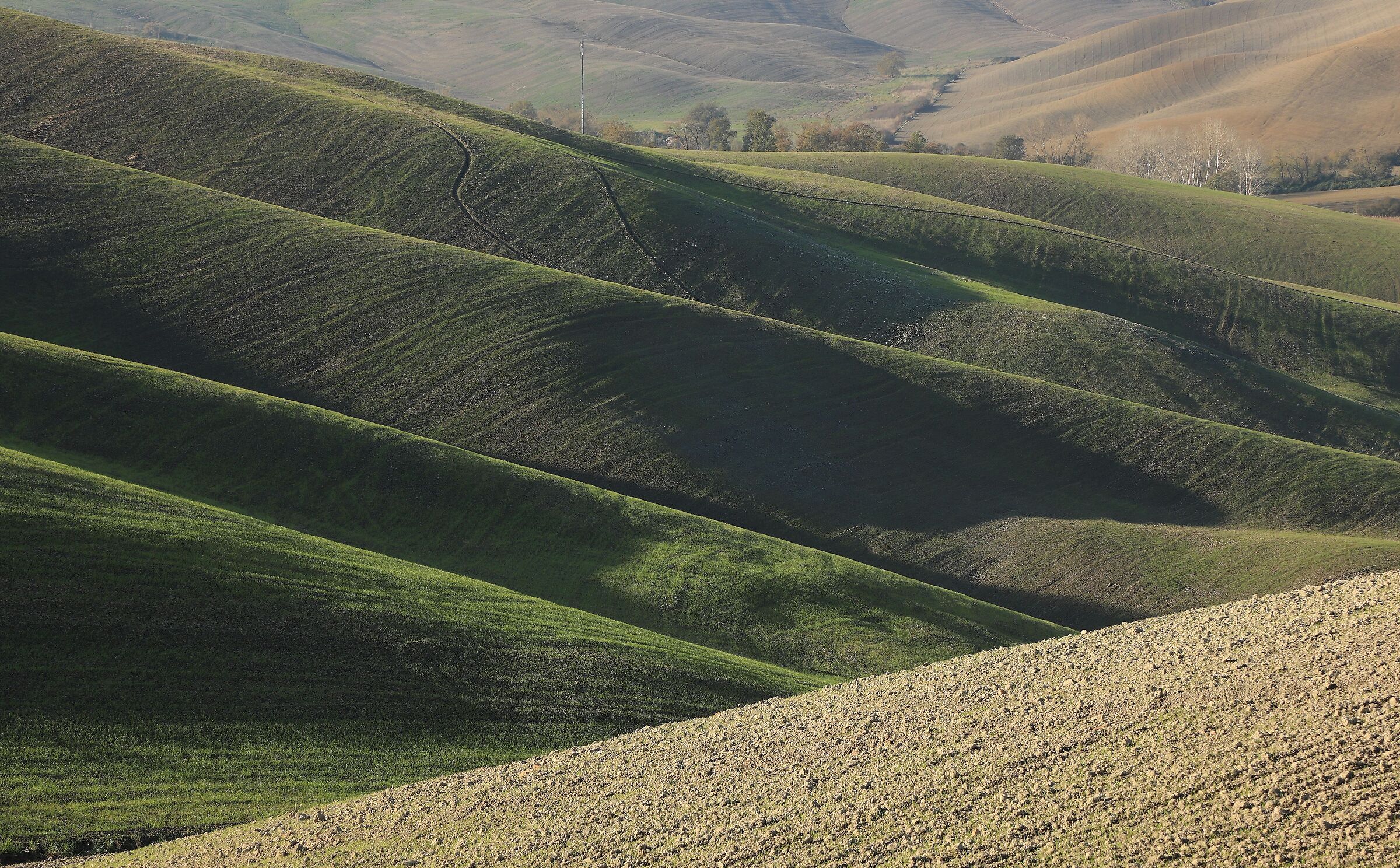 Gentle slopes of the Crete Senesi