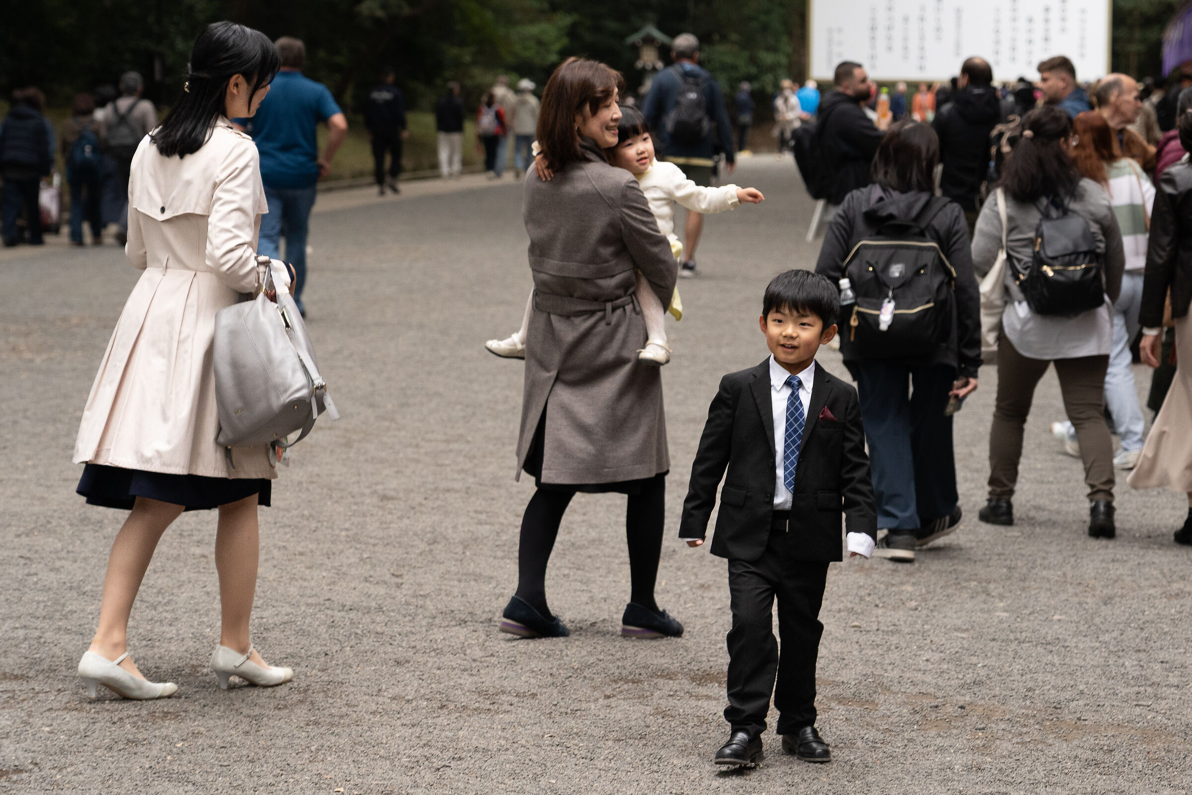 Elegant little man