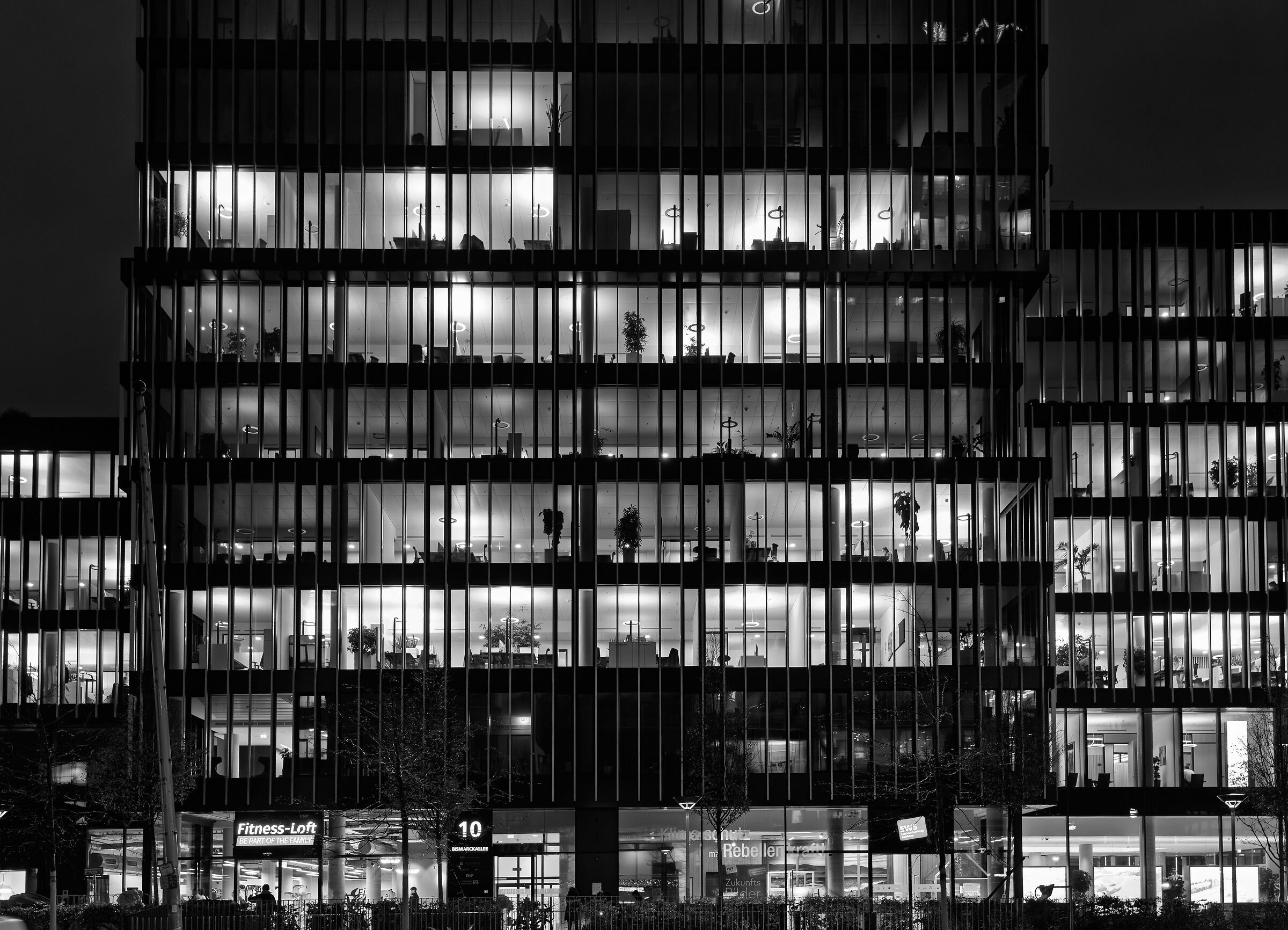 Lights in the night