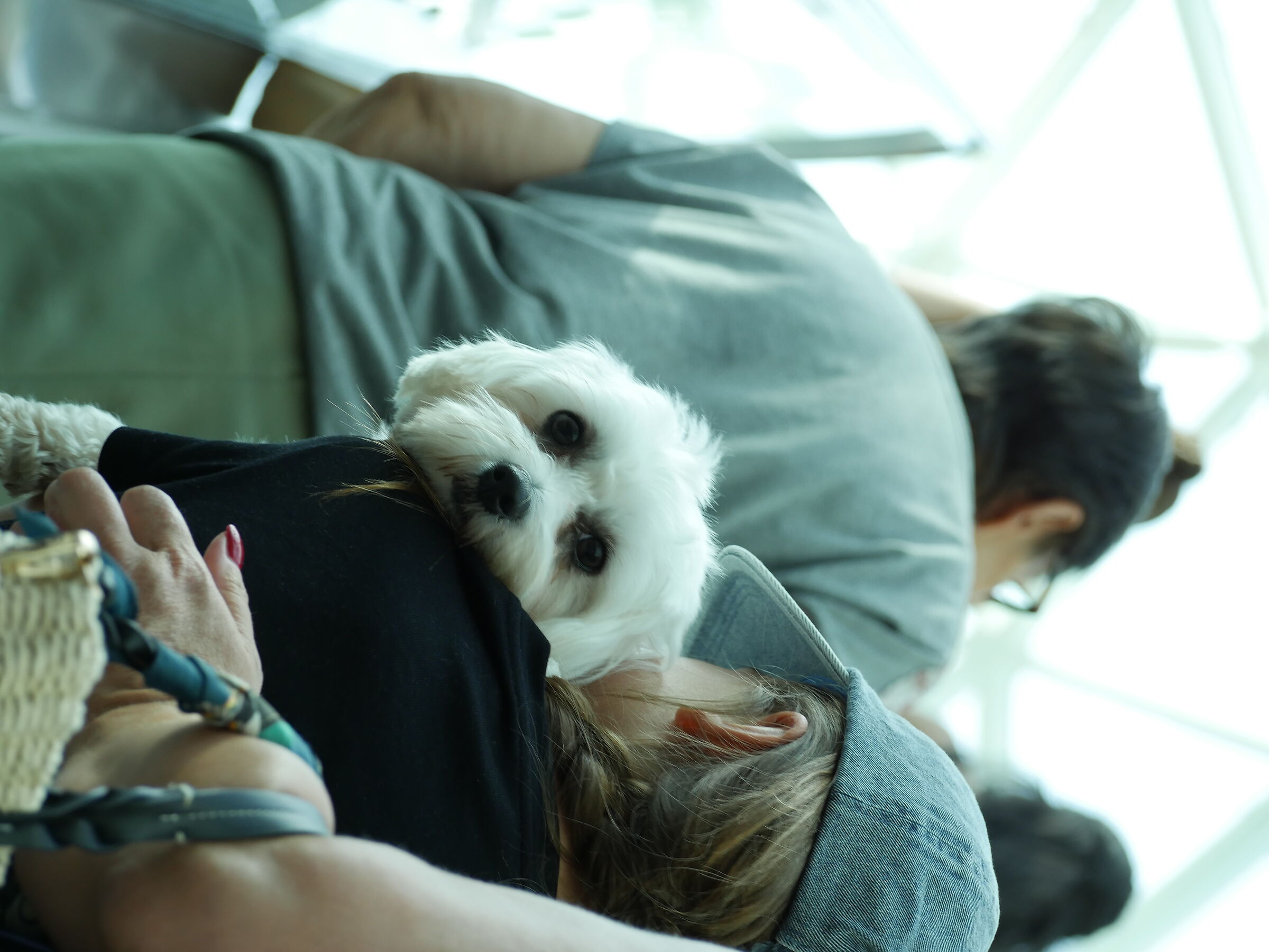 are you watching me?