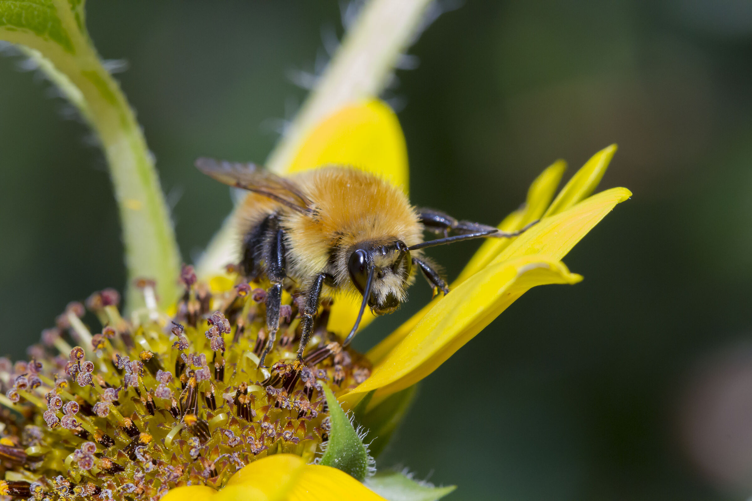 "If I catch someone who has passed here before me, I'll infl...