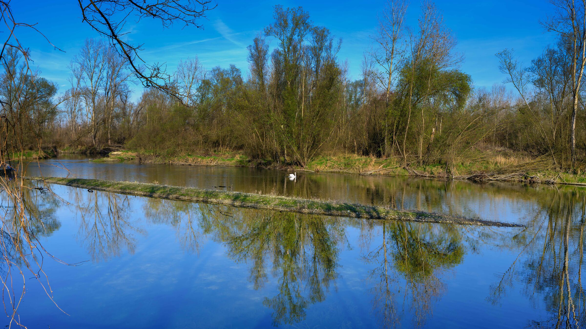 Riflessi (Prova)