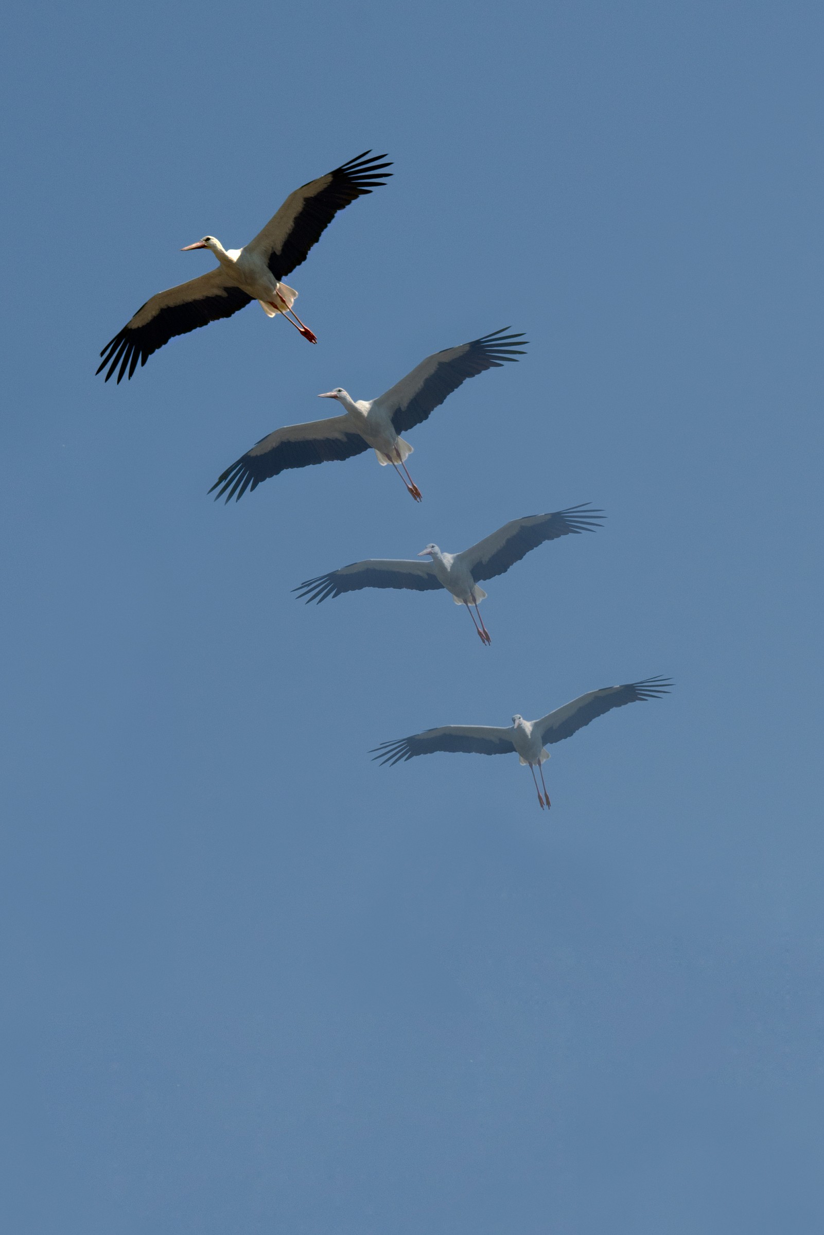 Traiettorie impercettibili