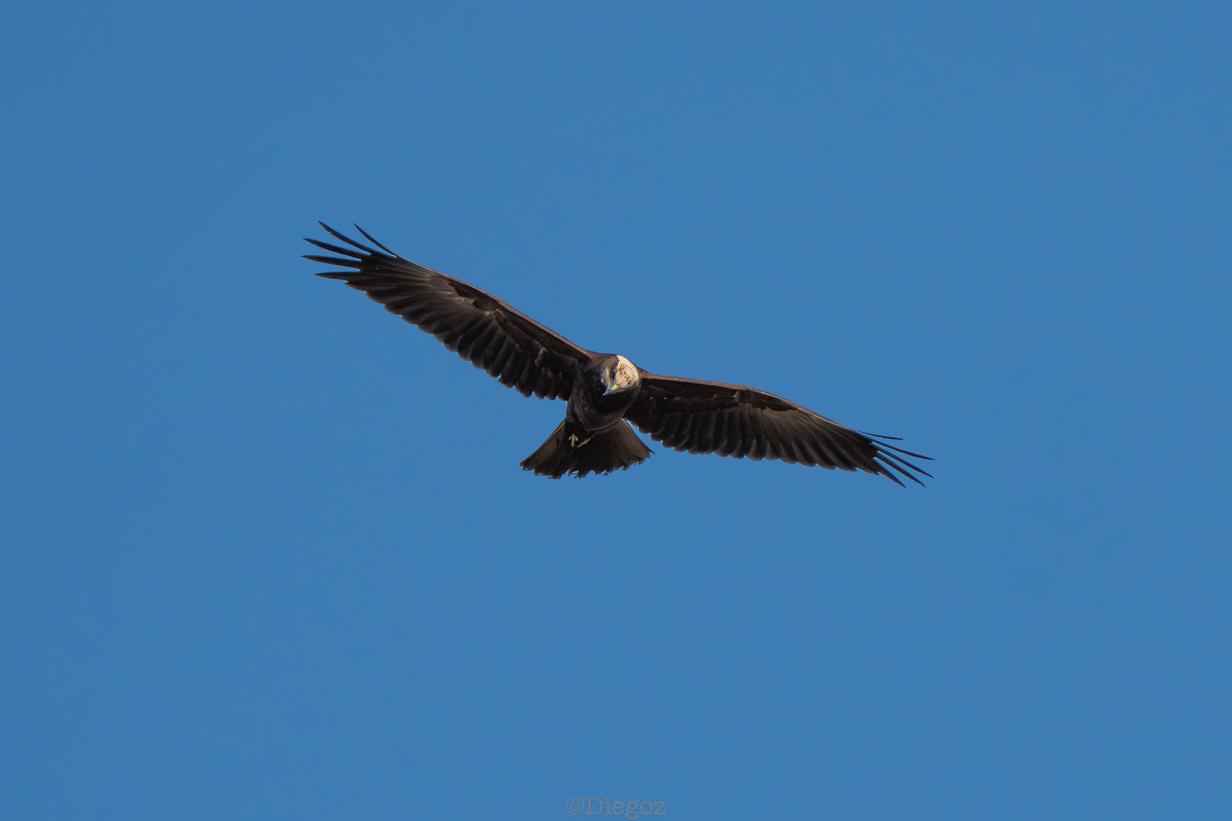 Untitled Photo