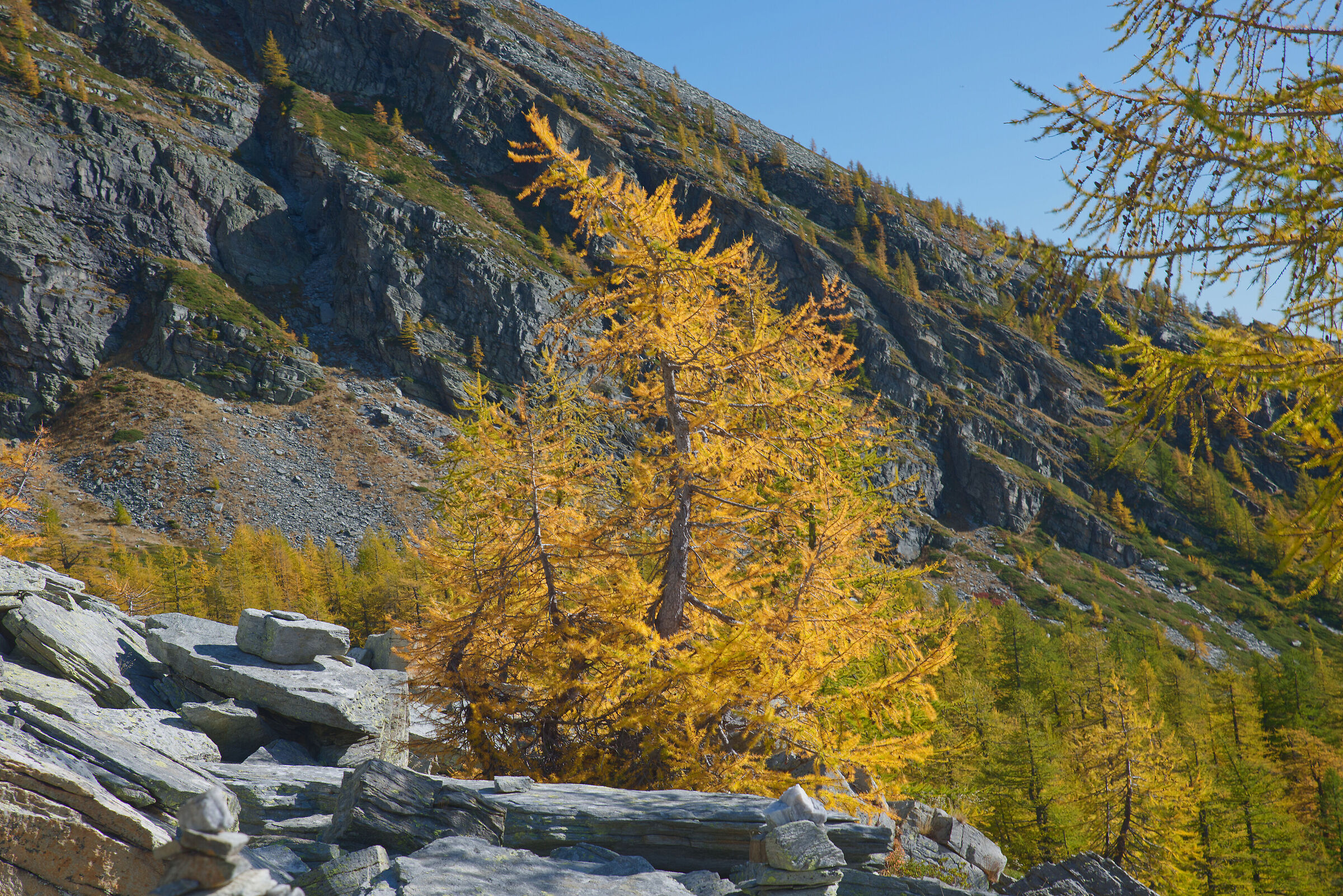 Alta Val Bognanco - the colours of autumn