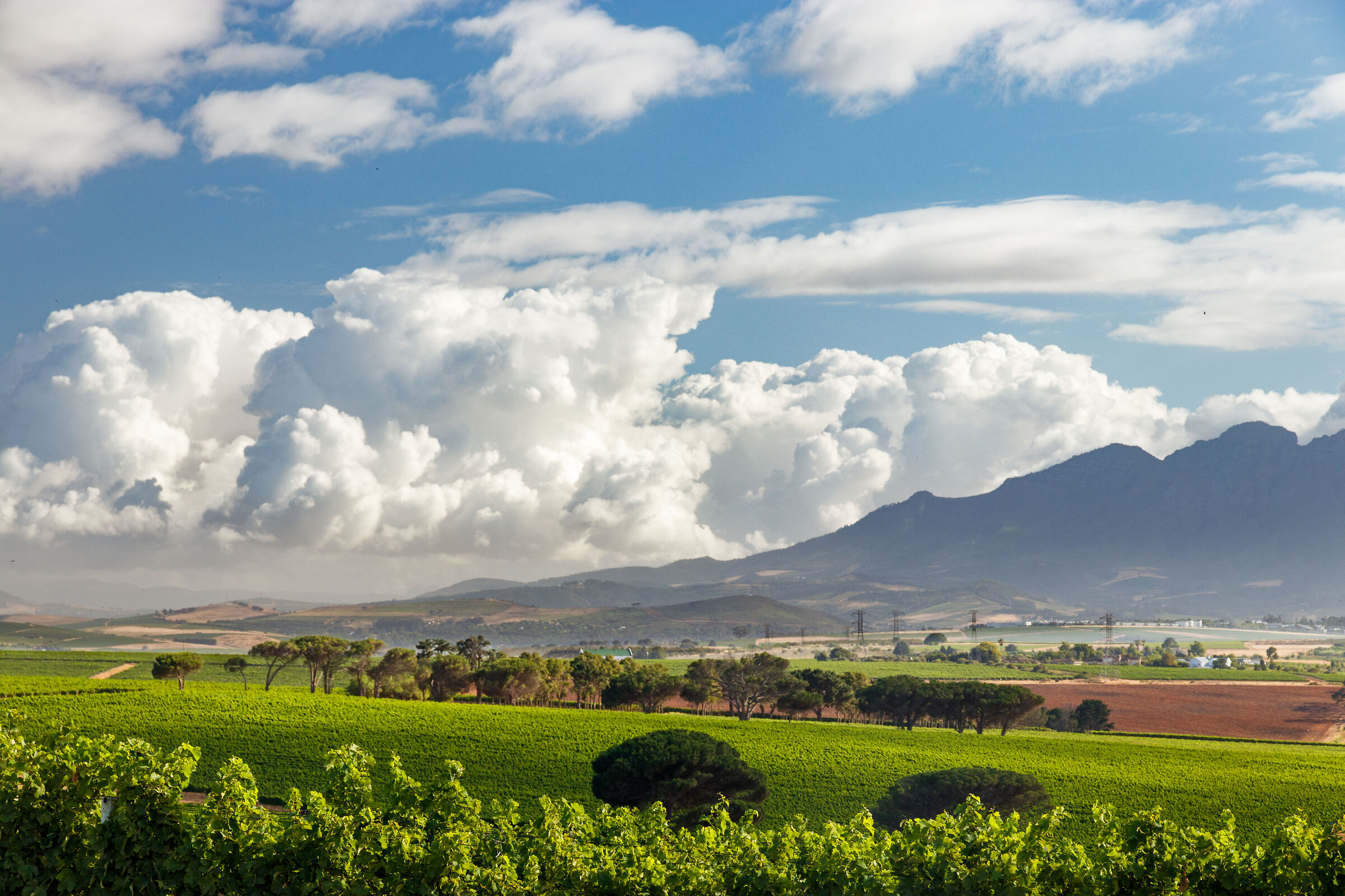 Looking towards Stellenbosch