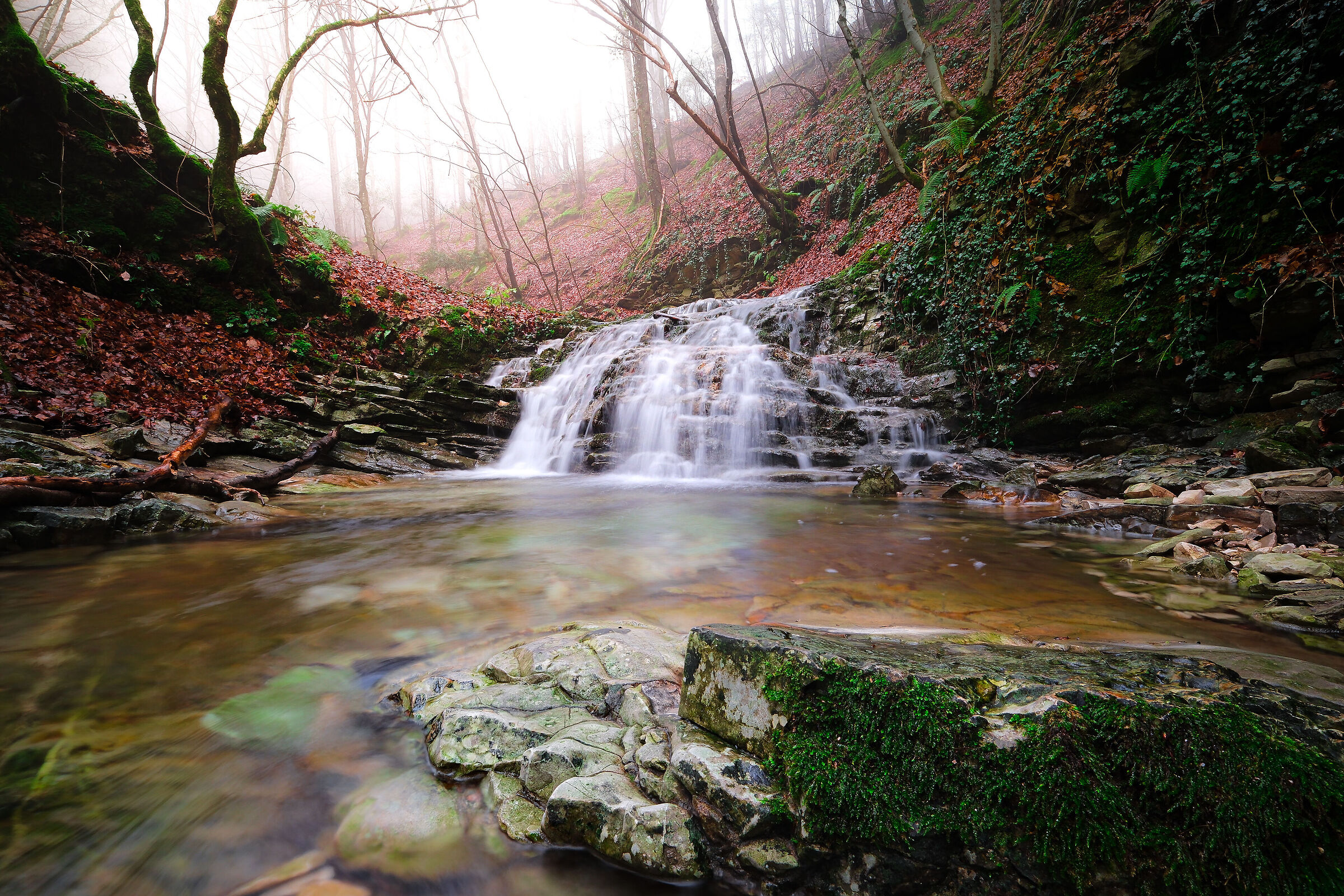 La bellezza della natura.