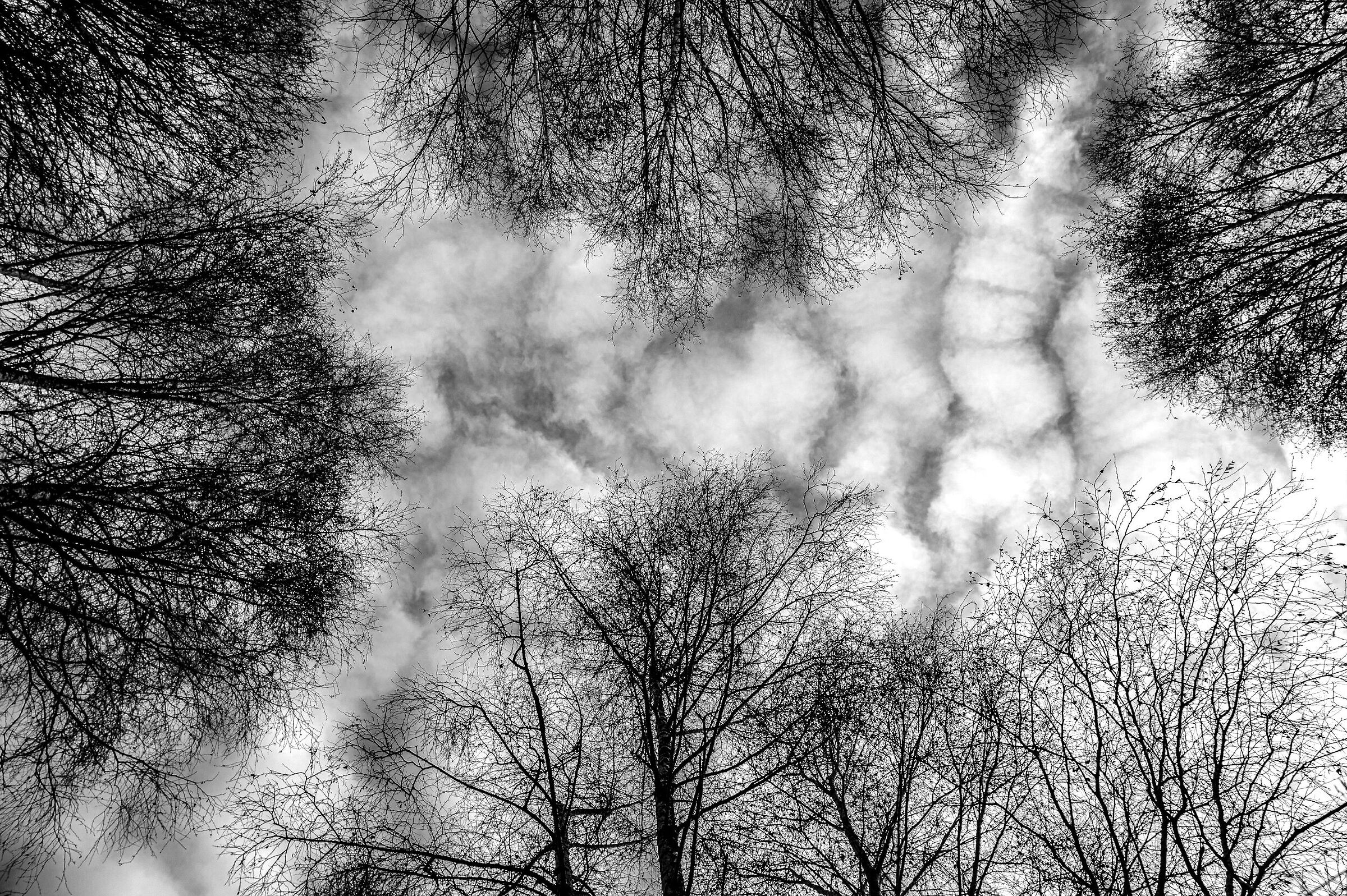 Sdraiarsi e osservare