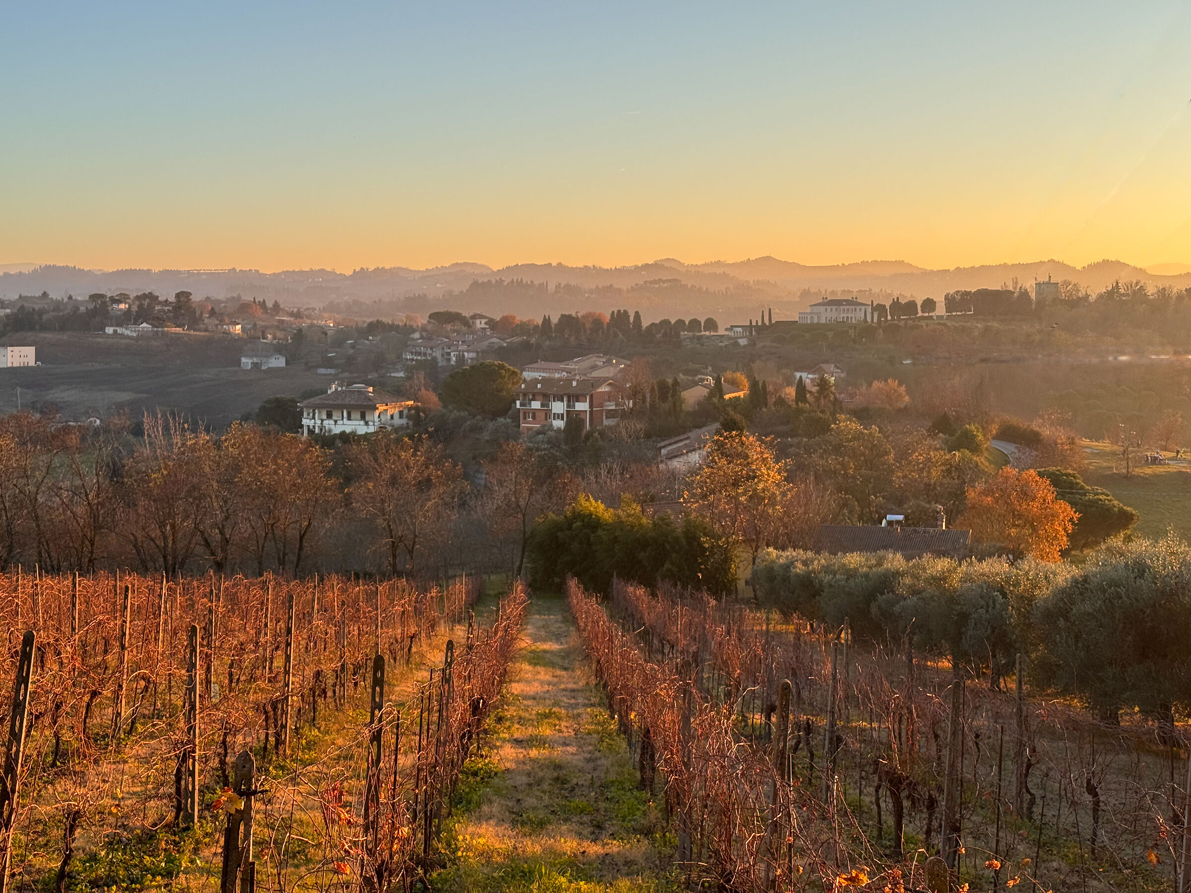 Colline romagnole al tramonto