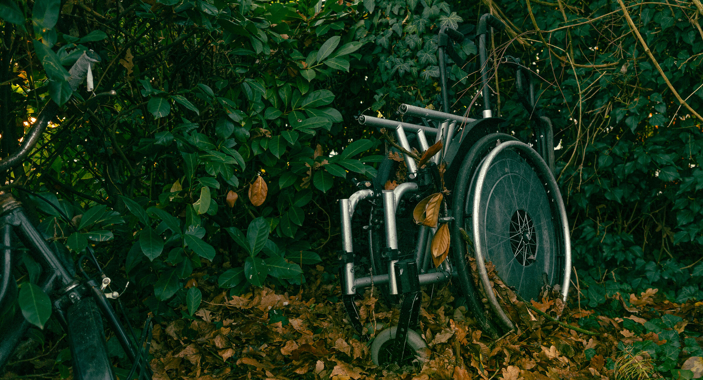 vecchia morte e nuova vita