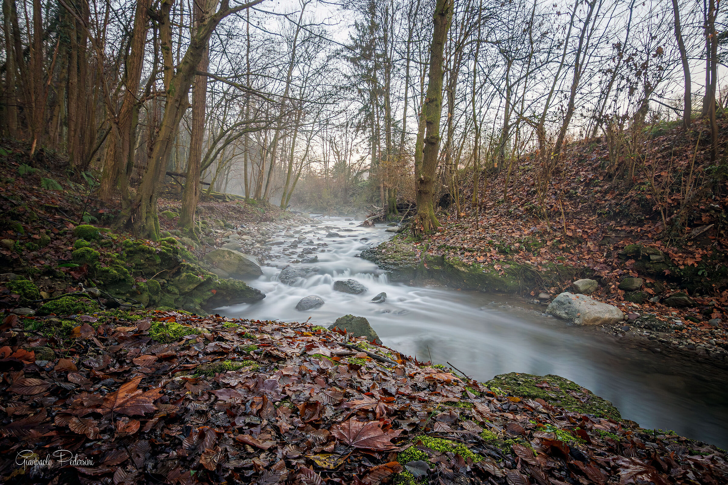 Natura tra le case (2)