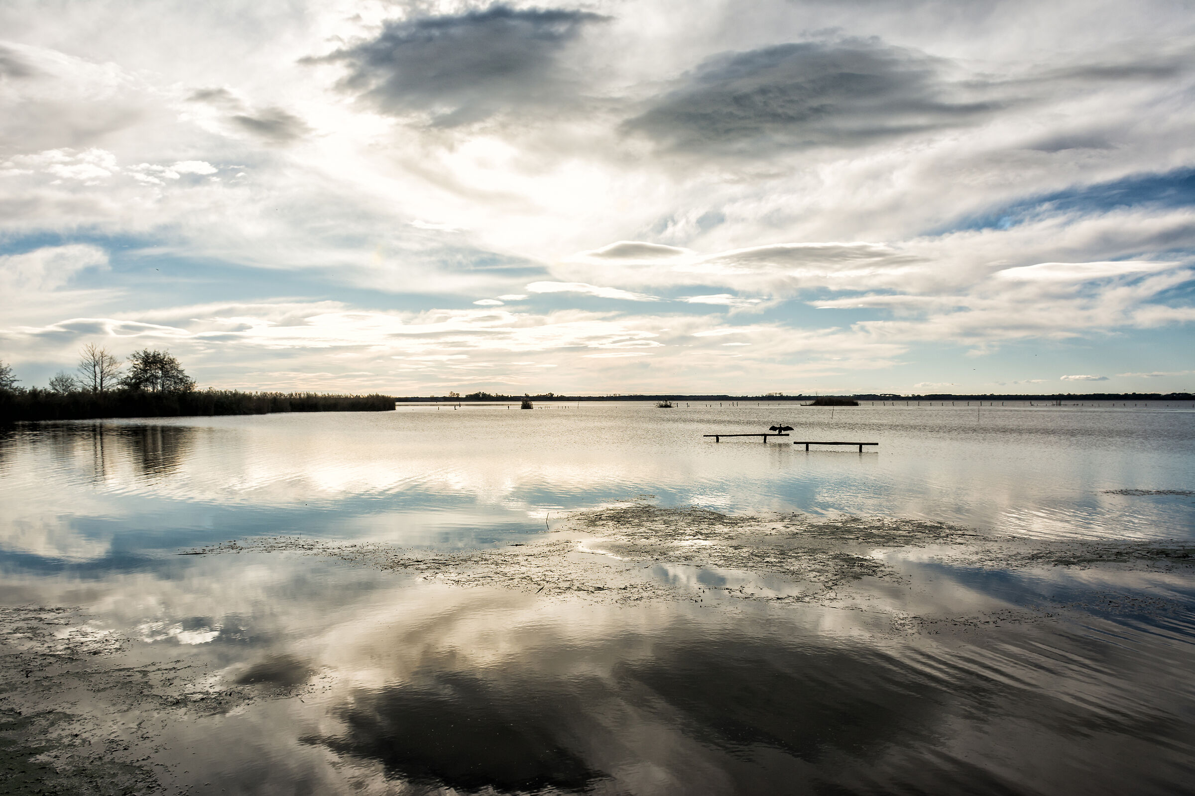 The tranquility of Massaciuccoli