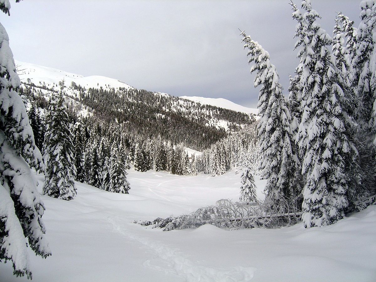 Towards square Golla