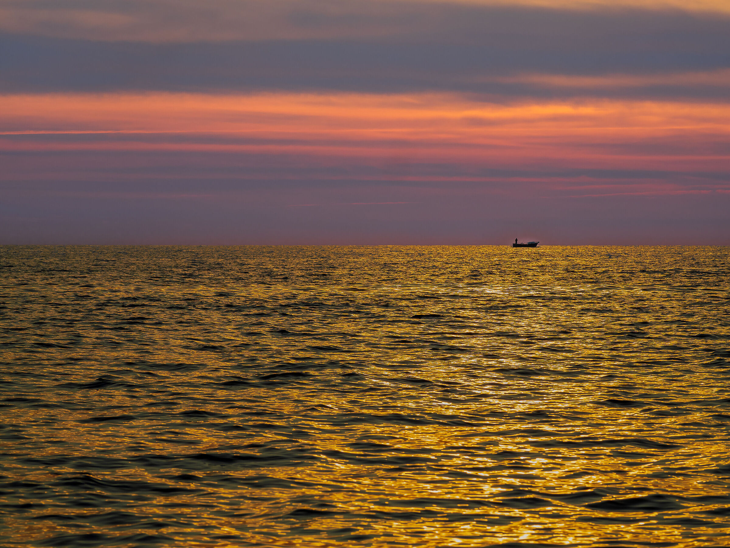 A sea of gold...