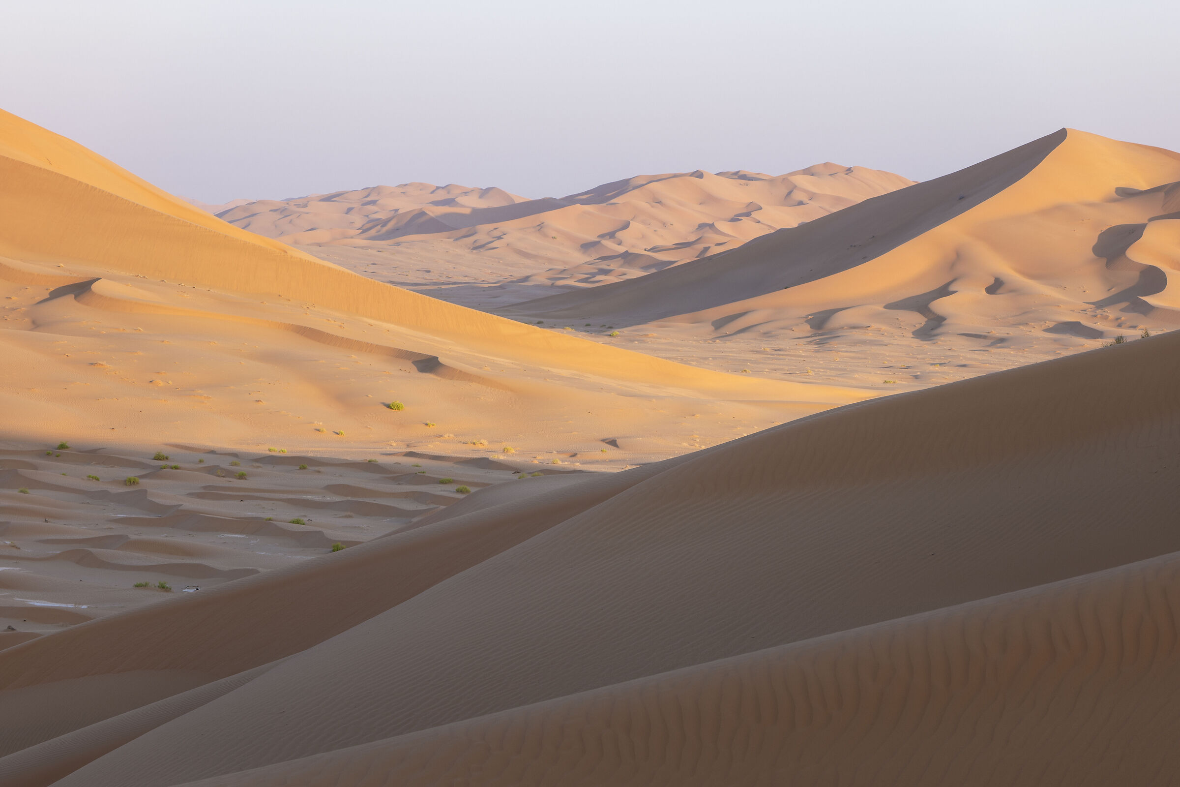 Prime luci nel deserto