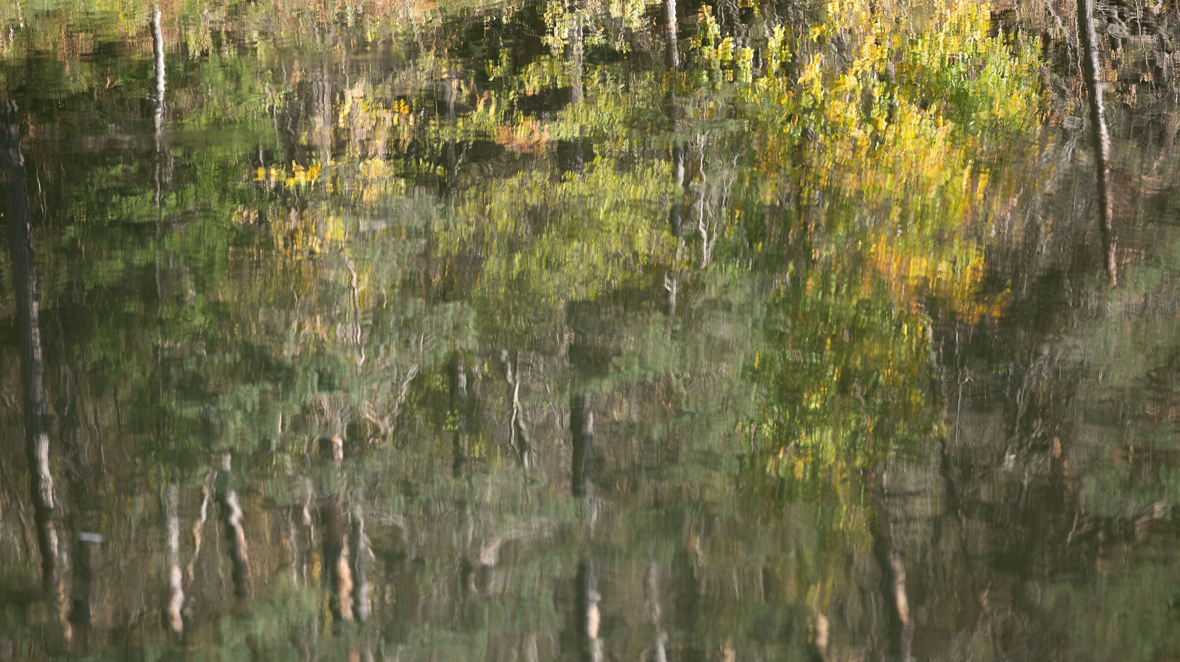 Autumn reflections