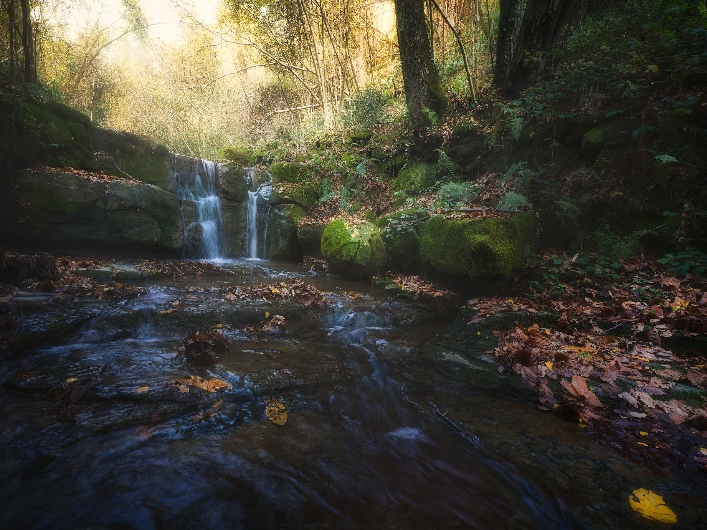 Ricordi d'Autunno
