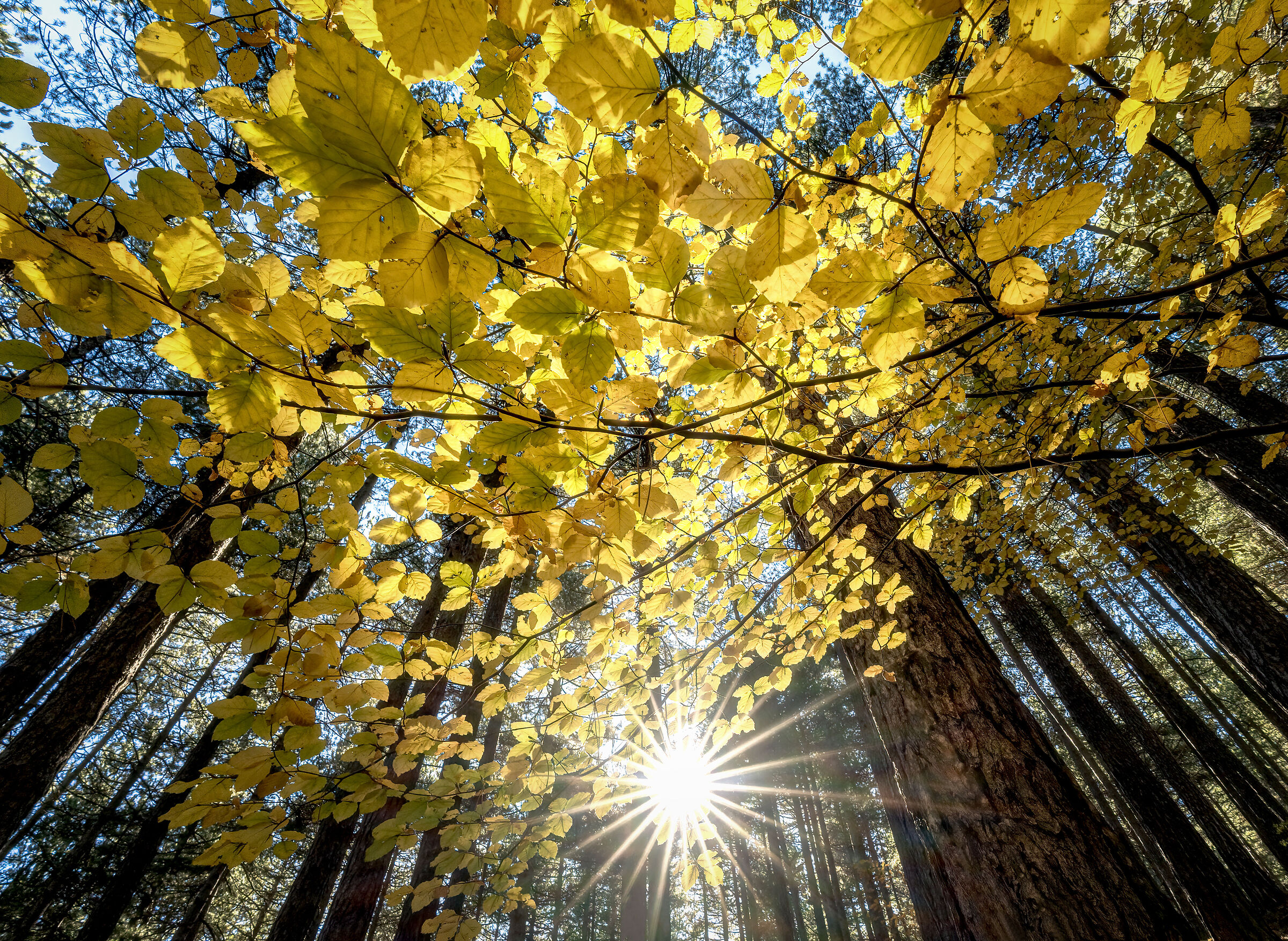 autunno etneo