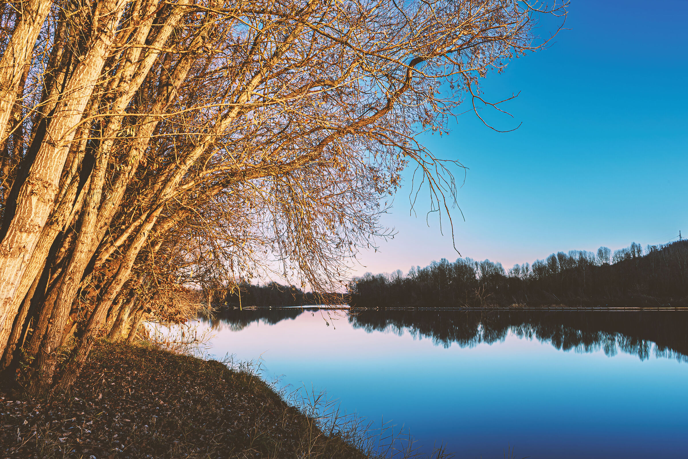 Parco fluviale del Bricel