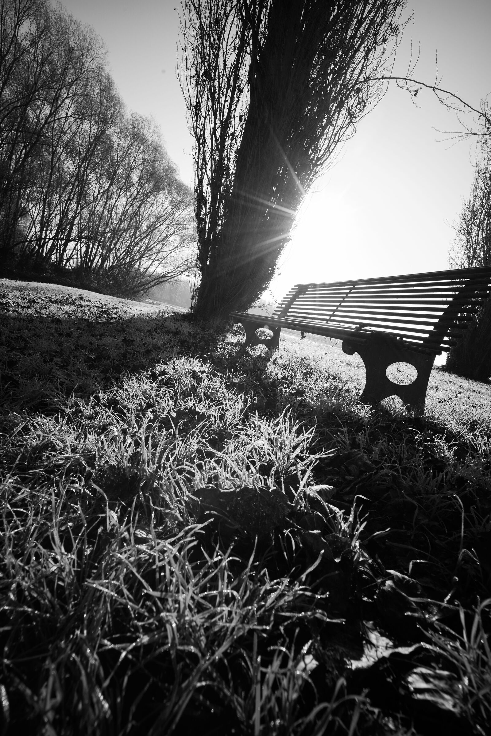 La panchina e un raggio di sole